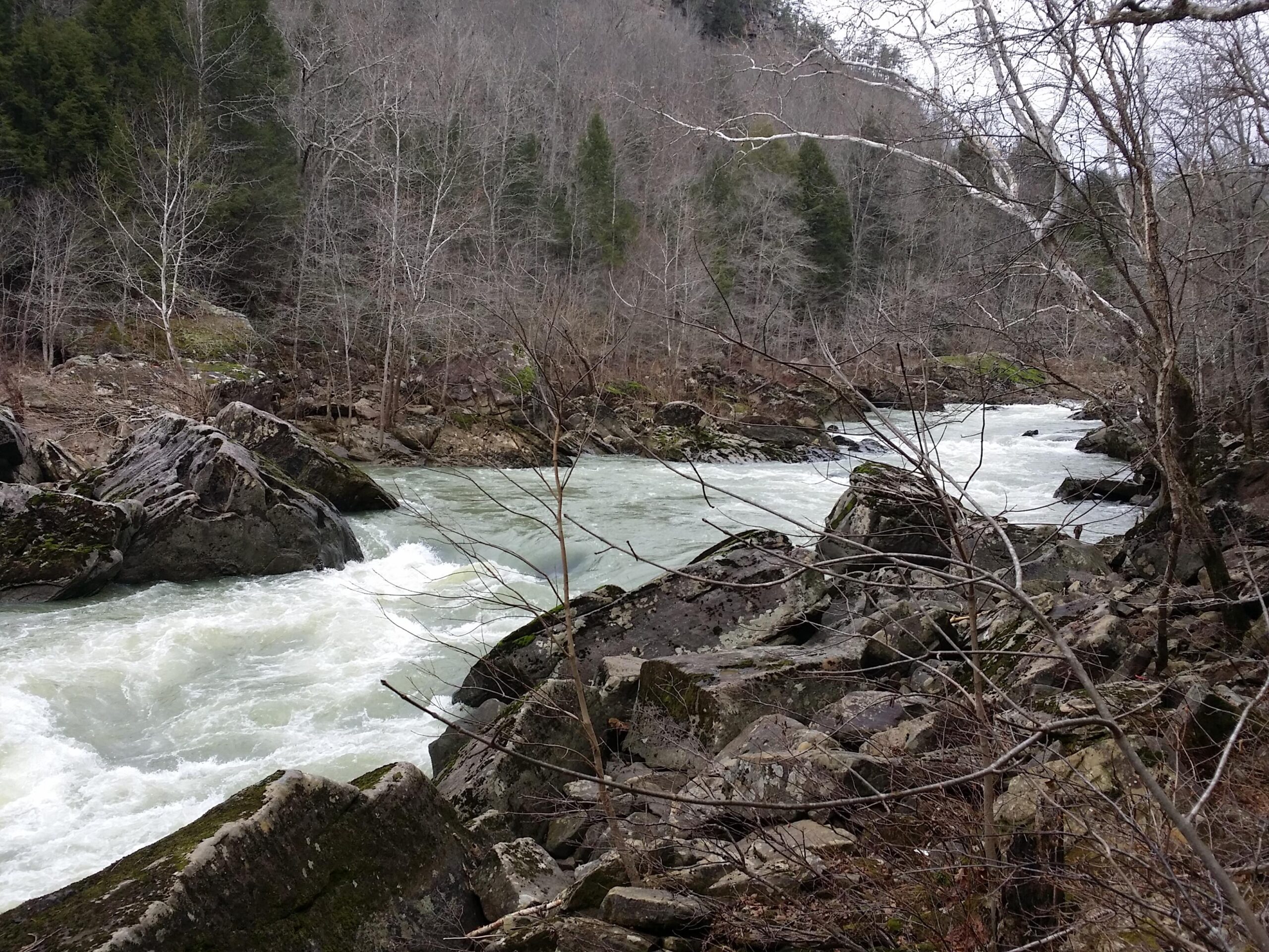 A flowing river surrounded by rocky banks and bare trees, with distant green hills in the background under a cloudy sky. The water is turbulent, creating white caps as it moves over the rocks. Cane Creek (sheltowee Trace Trail) mountain bike trail.