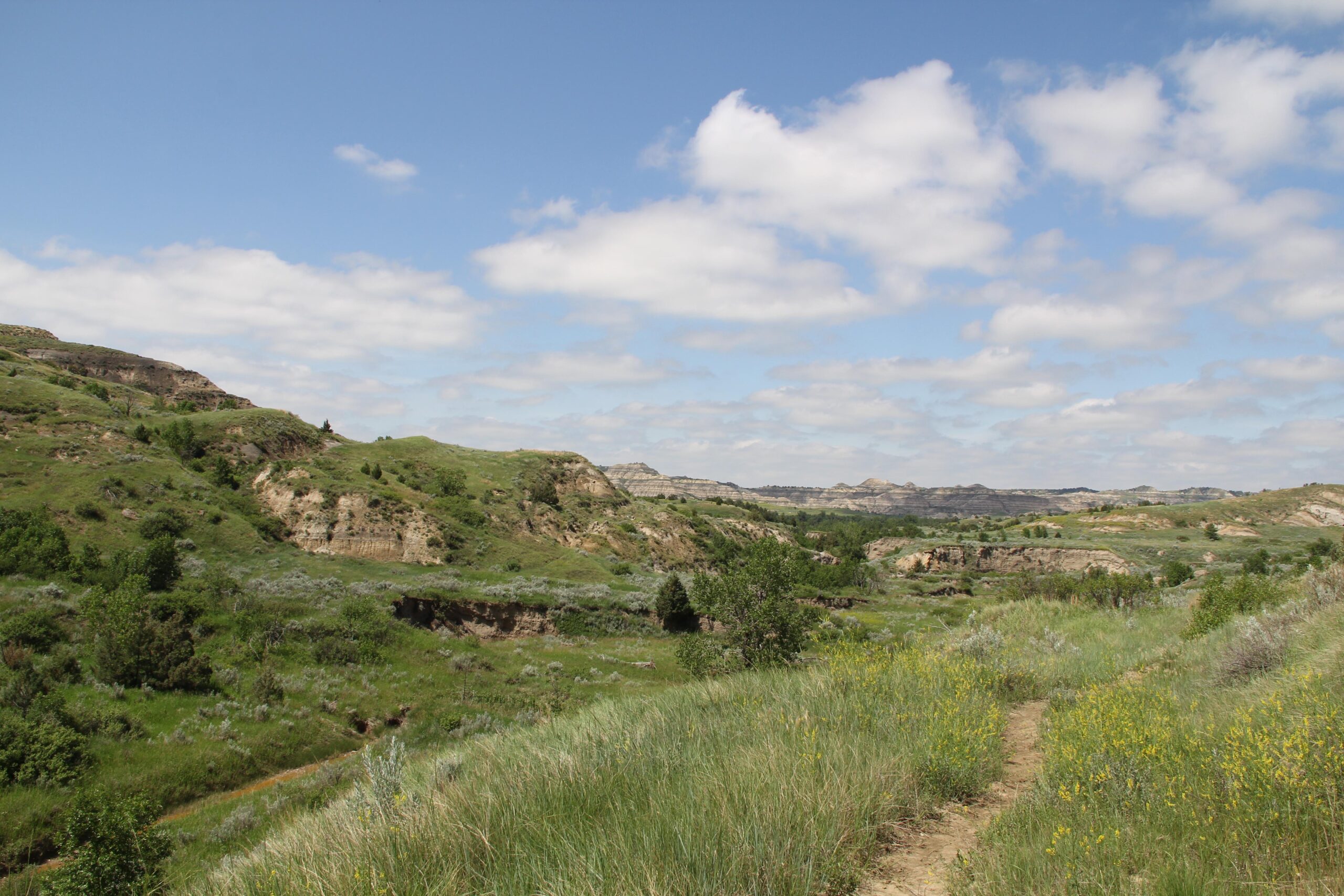 A scenic view of rolling green hills and rocky formations under a partly cloudy sky, with a dirt path winding through the vibrant landscape. Maah Daah Hey mountain bike trail.