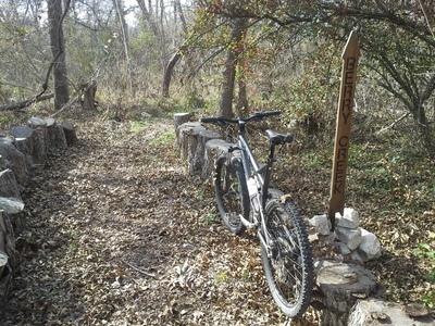 A mountain bike parked on a dirt trail surrounded by trees and foliage, with a wooden sign marking the path to "Berry Creek." The trail is lined with stone borders and is covered in fallen leaves. Berry Springs Nature Preservation mountain bike trail.