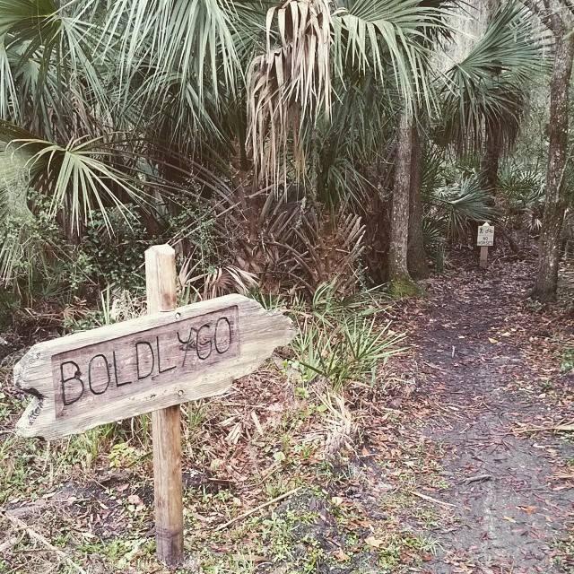 A wooden sign marked "BOLDLY GO" points toward a narrow, winding trail surrounded by lush greenery and palm-like plants in a forested area. Another sign is partially visible in the background, indicating that the trail continues further into the natural landscape. BoldlyGo mountain bike trail.