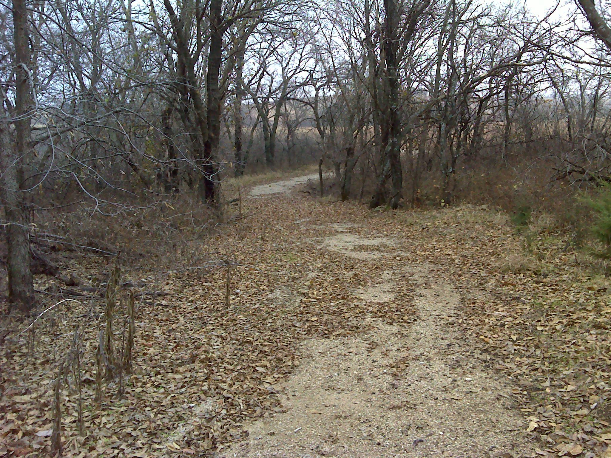 A winding dirt path through a leaf-covered forest, surrounded by bare trees and scattered underbrush, under a cloudy sky. Tallgrass Heritage Trail mountain bike trail.