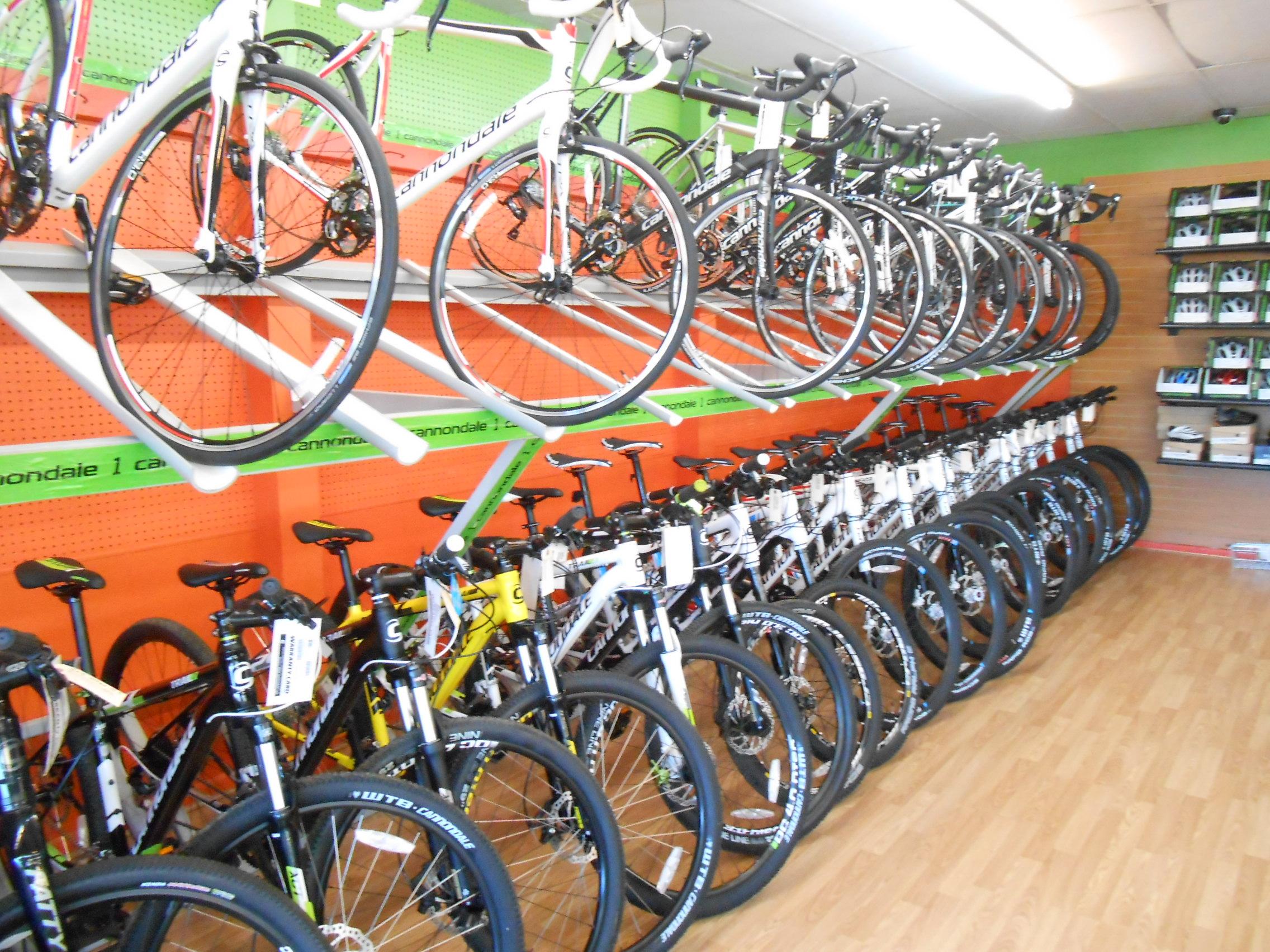 A bicycle store interior featuring multiple bikes displayed on racks and shelves. The walls are painted in vibrant colors, including orange and green, creating a lively atmosphere. Various styles of bicycles are visible, including road and mountain bikes, arranged neatly along the floor and hung on the display.