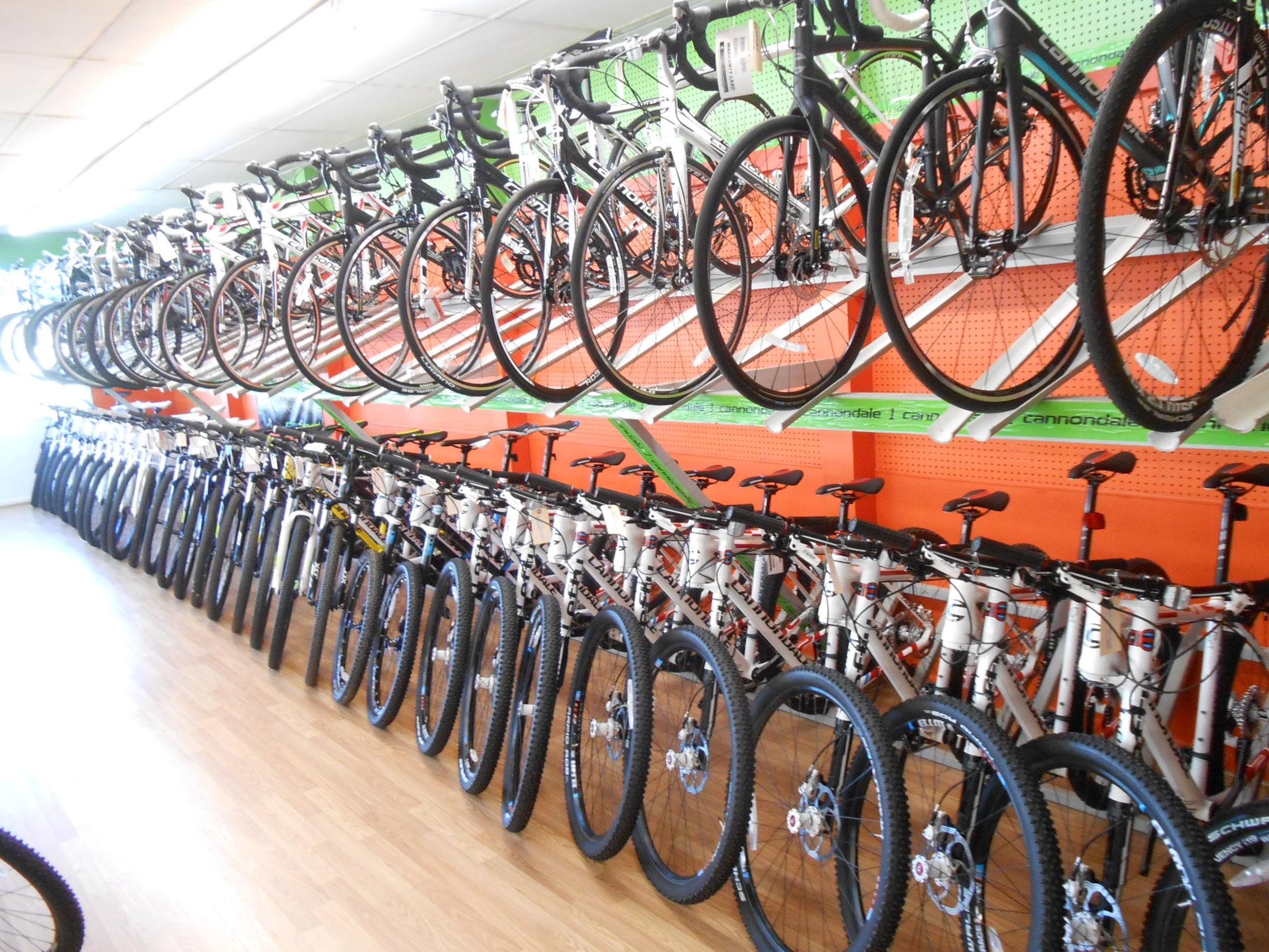A bicycle shop interior featuring a variety of bikes displayed on wall-mounted racks and lined up along the floor. The shop has a bright, inviting atmosphere with orange and green accents. The bicycles include road and mountain models, showcasing their tires and handlebars.