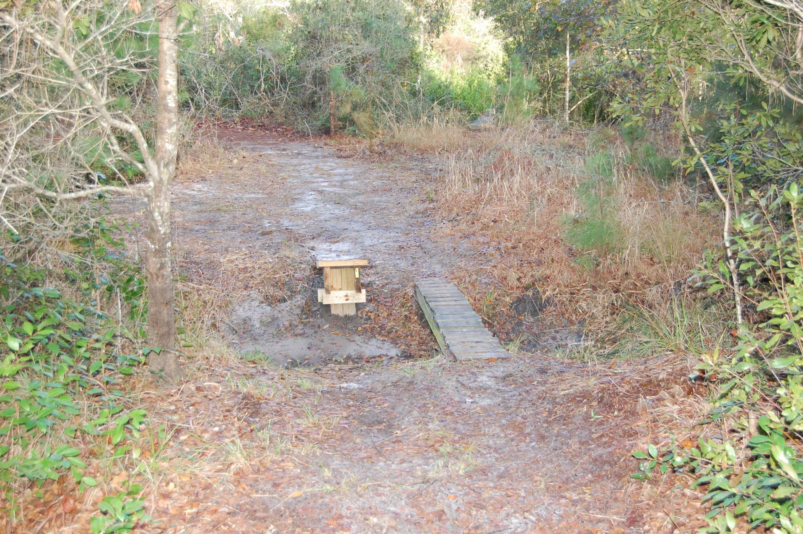 A narrow wooden bridge spans a small muddy ditch surrounded by tall grass and shrubs. The path leads through a natural area with sparse trees and underbrush, suggesting a tranquil outdoor setting. Nocatee mountain bike trail.