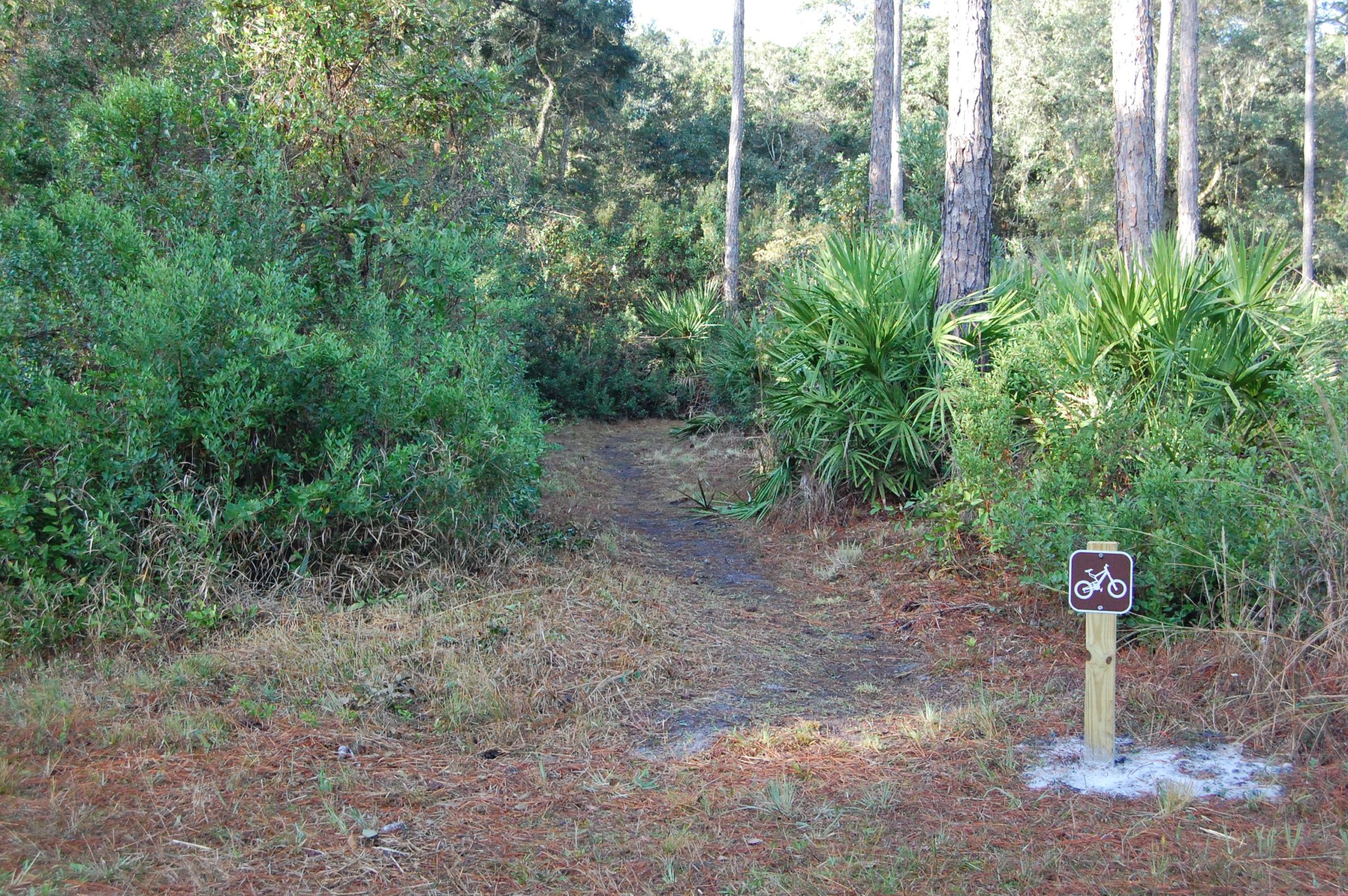 A dirt bike path entrance surrounded by greenery and tall trees, featuring a wooden sign with a bicycle graphic indicating the trail is suitable for biking. Nocatee mountain bike trail.