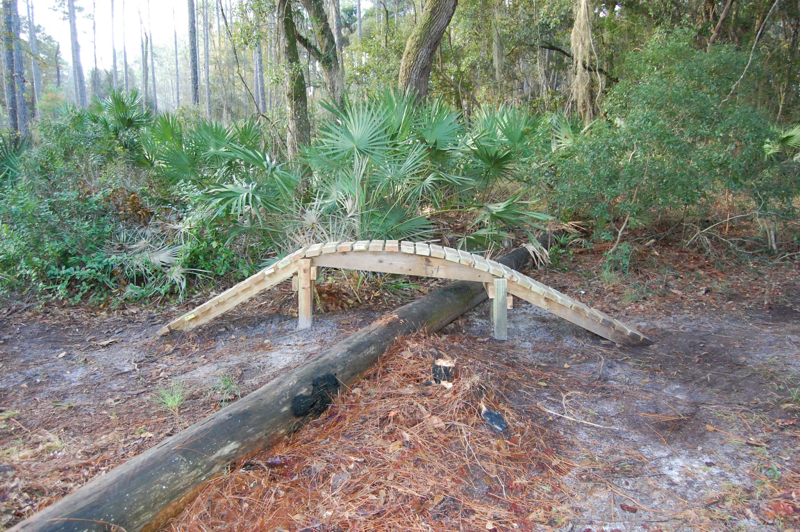 A small wooden bridge spans a fallen log in a forested area. The surroundings are filled with lush greenery, including palm plants and pine trees, creating a serene natural setting. The ground is covered with a mix of fallen pine needles and soil. Nocatee mountain bike trail.