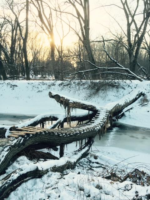 A tranquil winter scene featuring a snow-covered landscape with a partially frozen river. In the foreground, a rustic wooden bridge, made from a fallen tree, stretches across the water, adorned with icicles. Sunlight filters through the trees in the background, casting a warm glow on the serene surroundings. Bloomington Ferry Trail mountain bike trail.