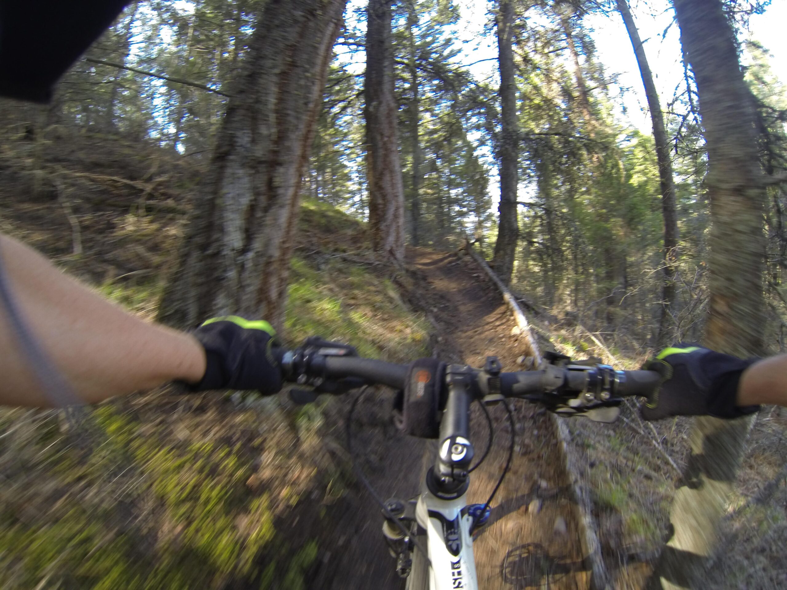 Alt tag: "View from a mountain bike handlebars navigating a narrow trail in a forest, with trees on both sides and sunlight filtering through the leaves." Blisters Sister mountain bike trail.