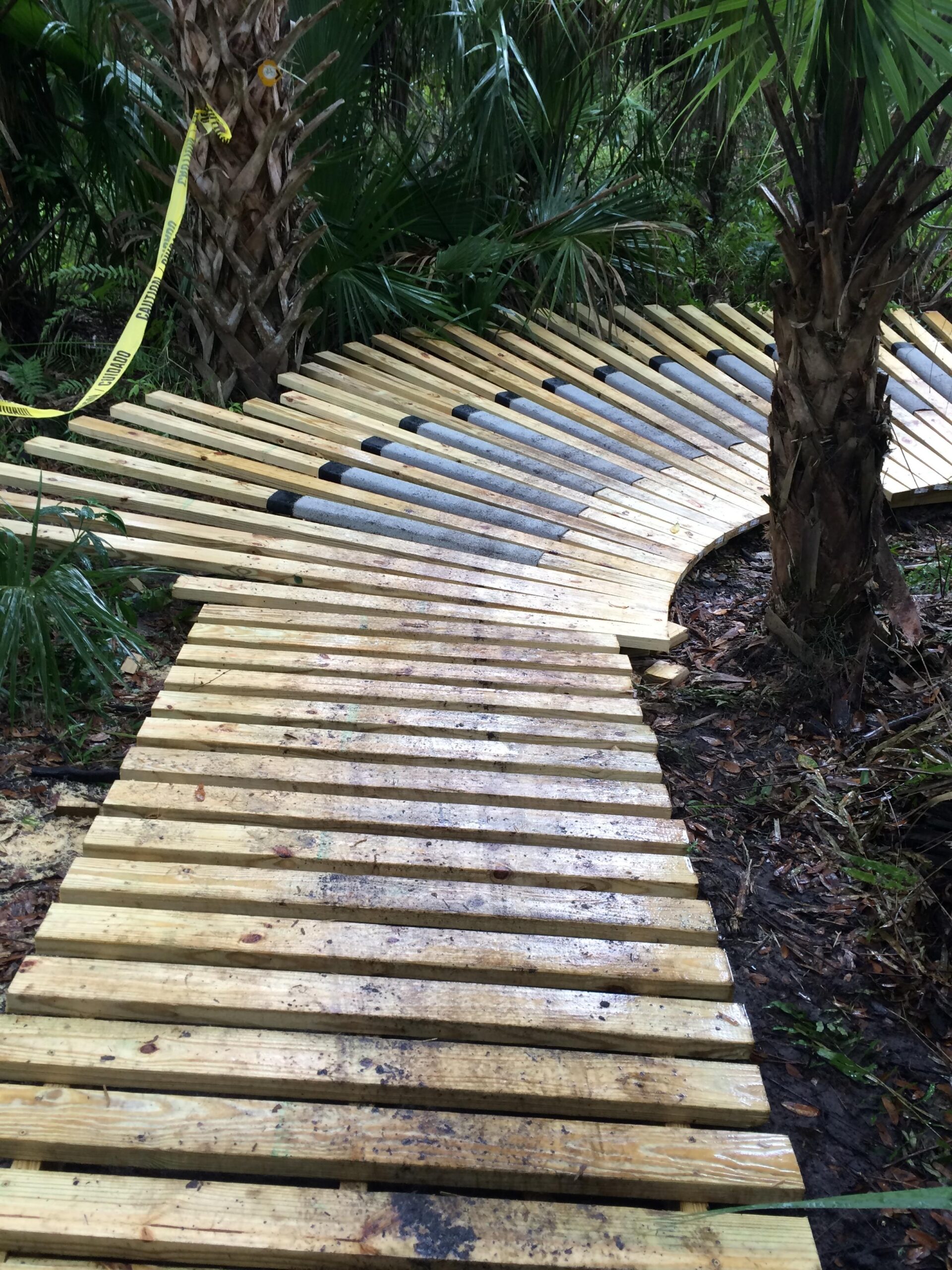 A curved wooden boardwalk under construction, surrounded by lush greenery and palm trees. Caution tape is visible, indicating a restricted area. The boardwalk features alternating wooden slats with sections of black material, suggesting an intentional design for durability and aesthetic appeal. The ground shows signs of wetness and natural debris. Halpatiokee mountain bike trail.