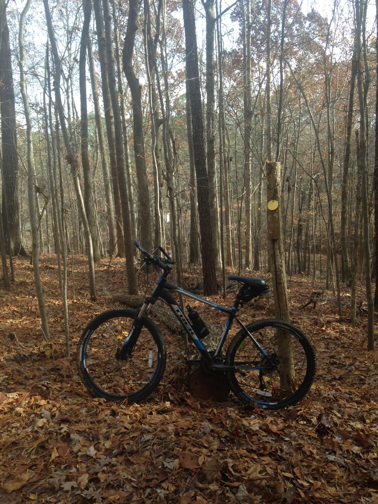 Trek 4300: A mountain bike leaning against a tree stump in a wooded area, surrounded by fallen leaves. Tall trees with sparse foliage rise in the background, indicating autumn or early winter.