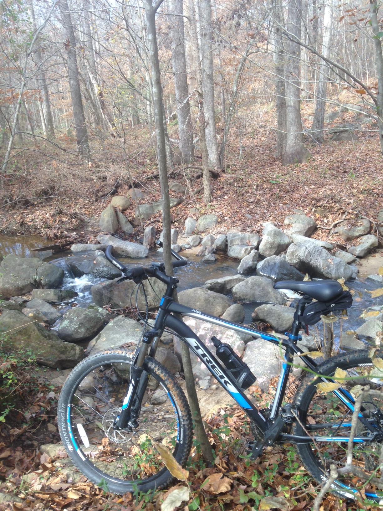 A mountain bike resting near a small creek in a forested area. The bike, featuring a black and blue frame, is positioned beside a tree and surrounded by autumn foliage and rocks. The background showcases tall trees with bare branches, indicating it’s likely fall or early winter. Legend Park mountain bike trail.
