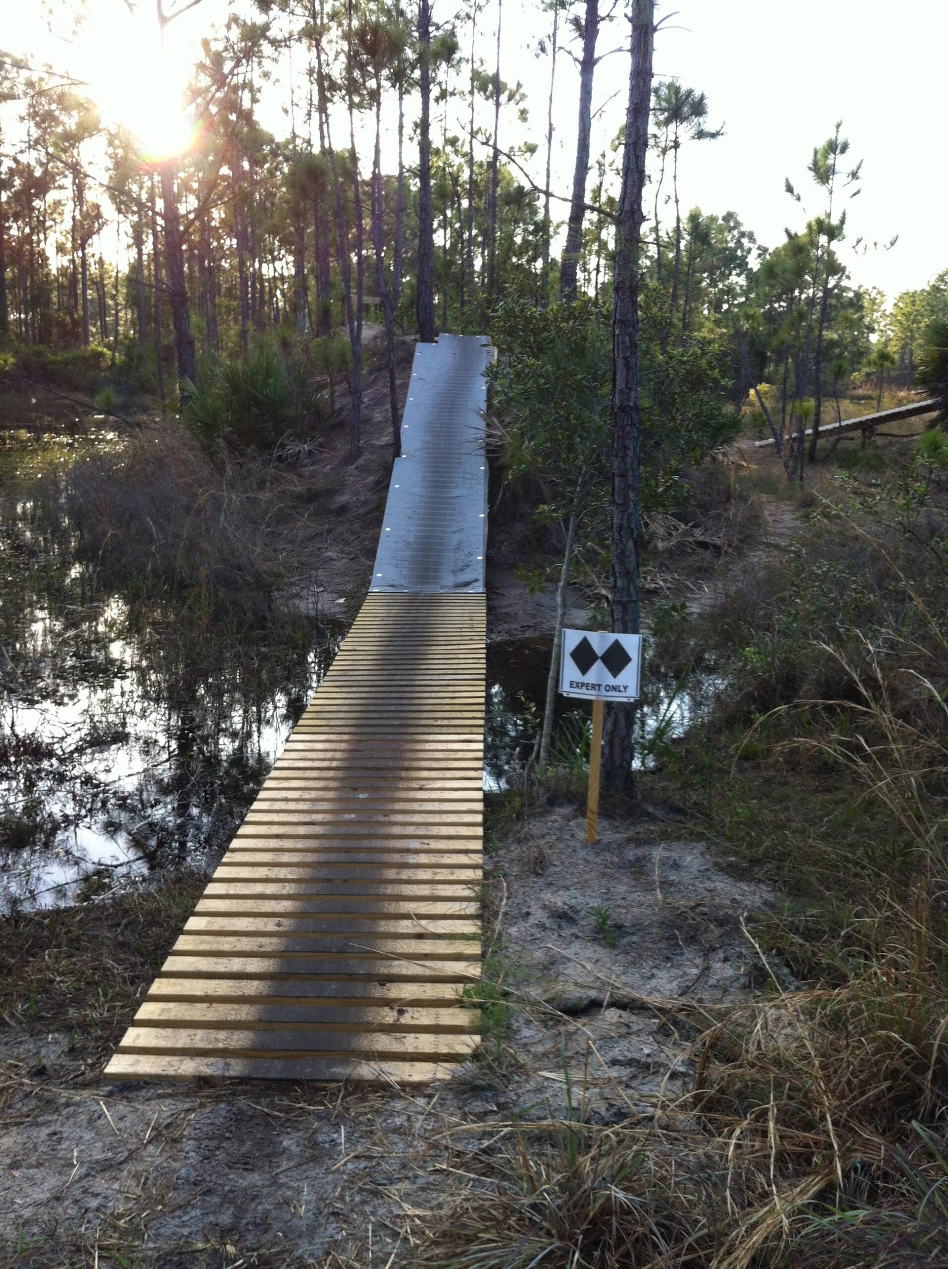 A narrow wooden bridge leads over a small waterway, surrounded by pine trees and underbrush. A sign labeled "EXPERT ONLY" stands near the bridge, indicating the level of difficulty for users. The scene is illuminated by soft sunlight filtering through the trees, creating a serene yet adventurous atmosphere. Halpatiokee mountain bike trail.
