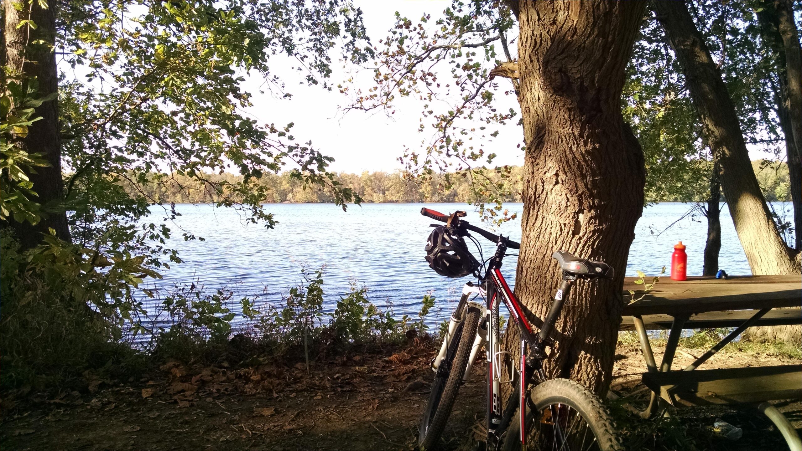 GT Avalanche 2.0: A peaceful lakeside scene featuring two bicycles resting against a tree. In the background, the calm water reflects the surrounding trees, while a picnic table and a red water bottle are visible nearby. Sunlight filters through the leaves, creating a serene outdoor atmosphere.