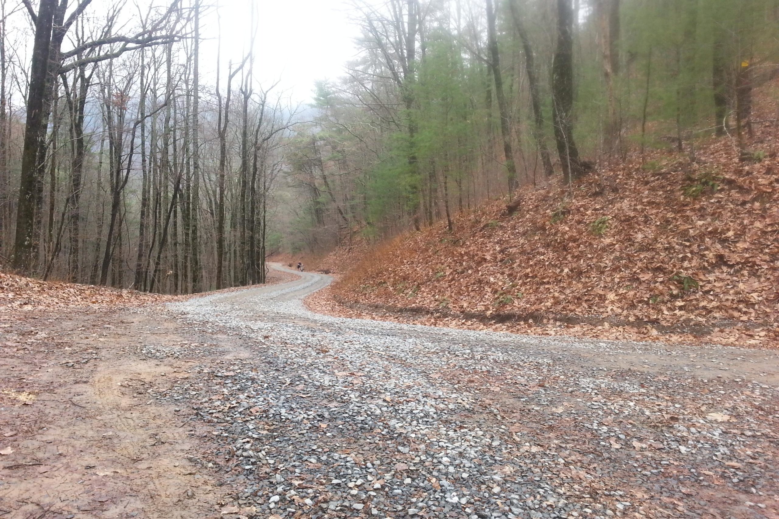 A winding gravel road surrounded by trees in a wooded area, with fallen leaves covering the ground. The scene is slightly misty, creating a tranquil atmosphere. Pinhoti Trail: P1 / Bear Creek Pinhoti mountain bike trail.