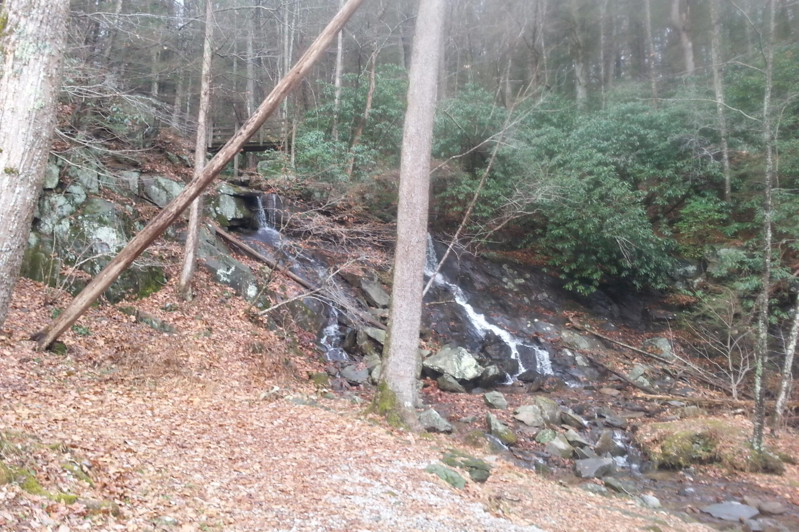 A serene woodland scene featuring a small waterfall cascading over rocky terrain, surrounded by trees and lush greenery. Fallen leaves cover the ground, creating a natural, rustic atmosphere. Pinhoti Trail: P1 / Bear Creek Pinhoti mountain bike trail.
