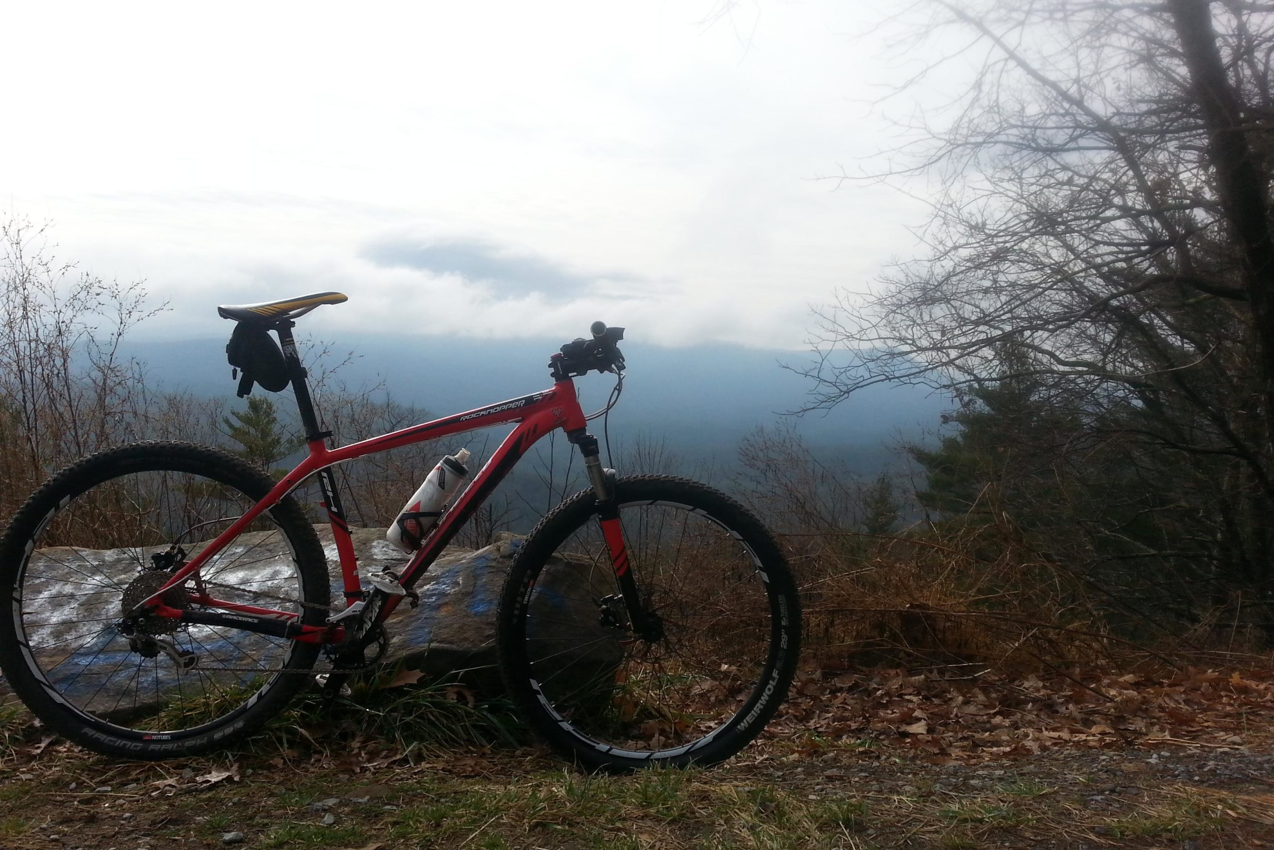 A red mountain bike is parked beside a rocky outcrop, surrounded by bare trees and overgrown vegetation. The background features a misty mountain landscape under a cloudy sky, suggesting a tranquil outdoor setting for cycling. Pinhoti Trail: P1 / Bear Creek Pinhoti mountain bike trail.