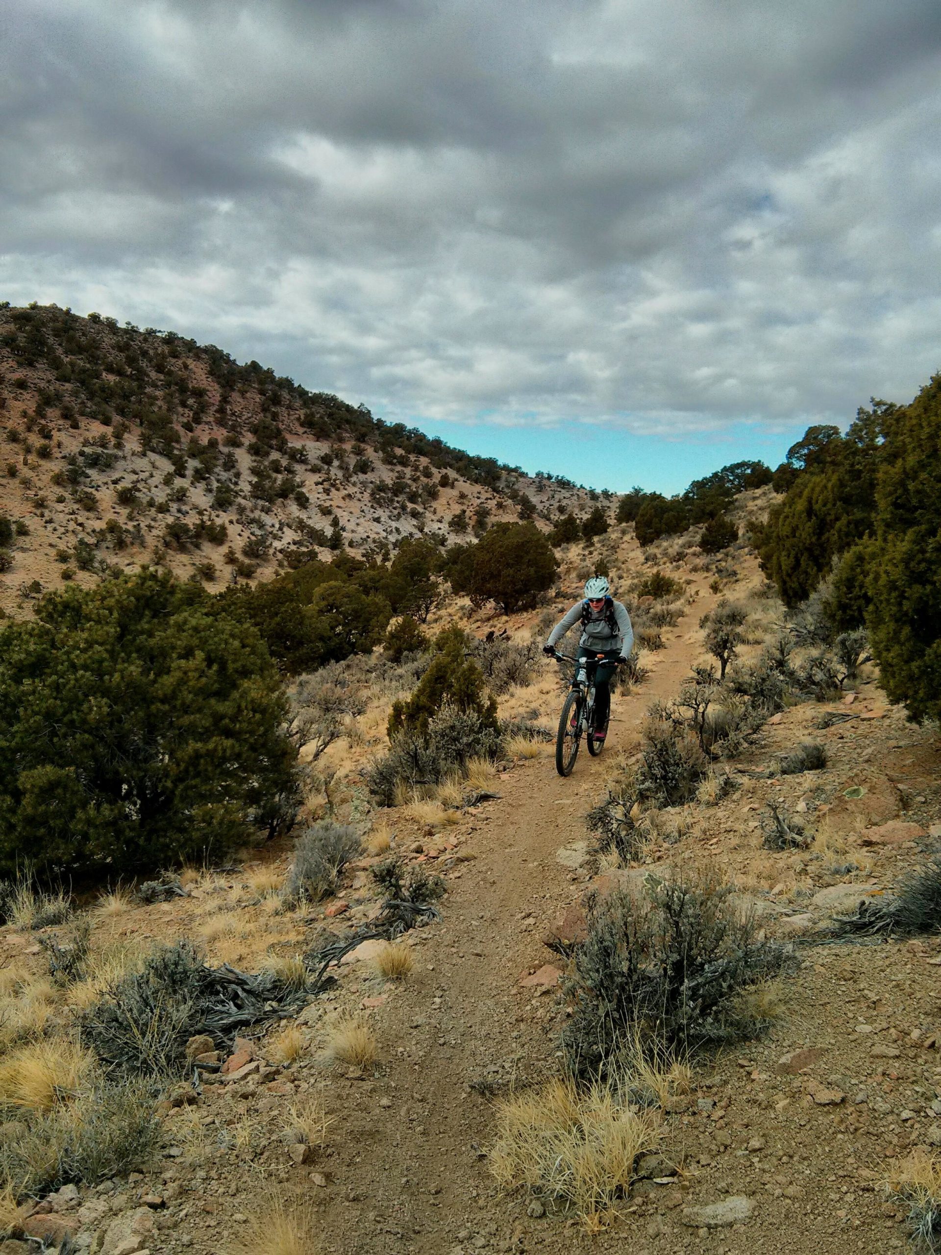 A cyclist riding along a dirt trail through a hilly landscape, surrounded by sparse vegetation and low shrubs under a cloudy sky. Big loop mountain bike trail.