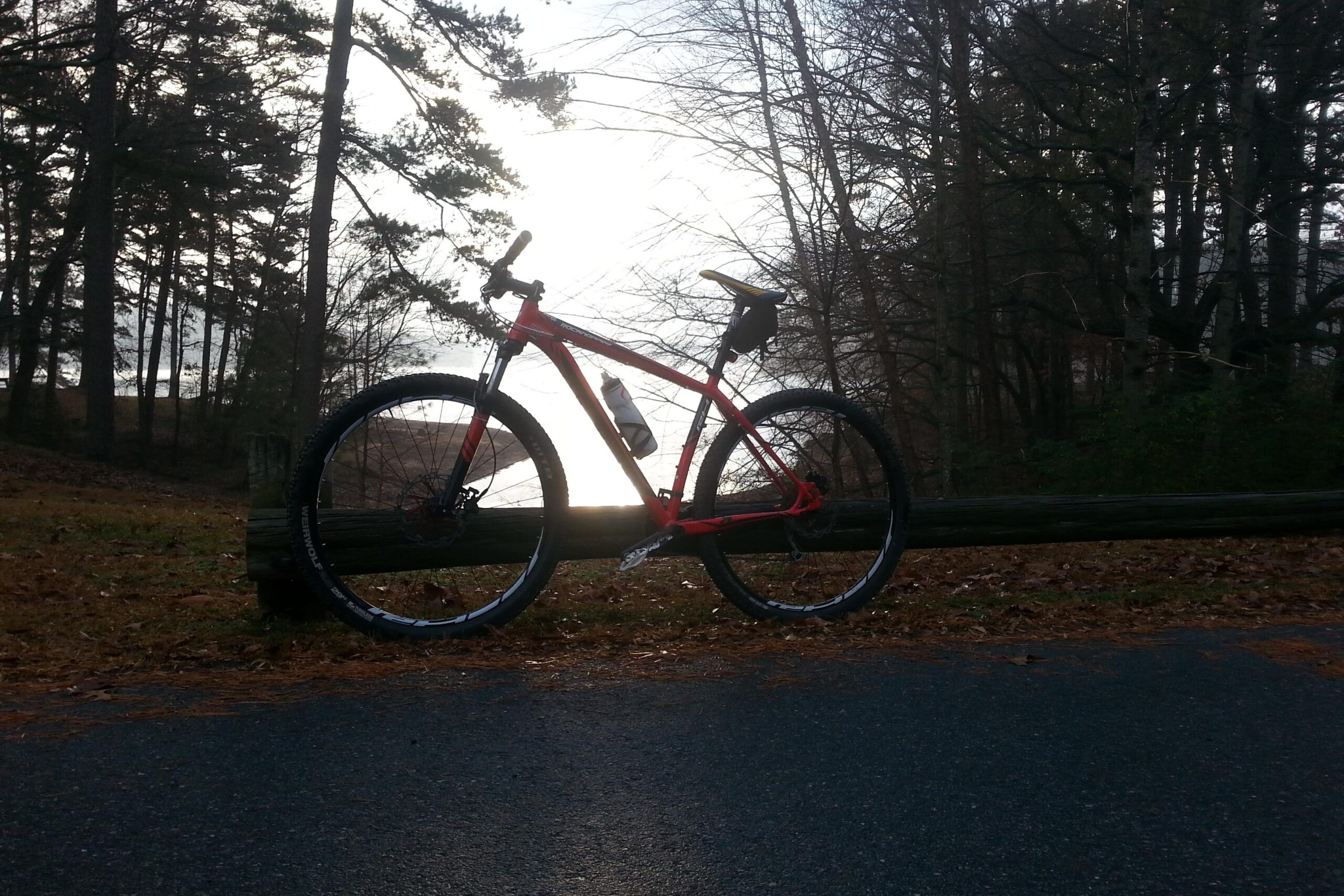 A bright red mountain bike propped against a wooden log, set against a backdrop of trees and a serene lake. The scene captures a tranquil outdoor setting, with the sun creating a soft glow in the background. Charleston Park mountain bike trail.