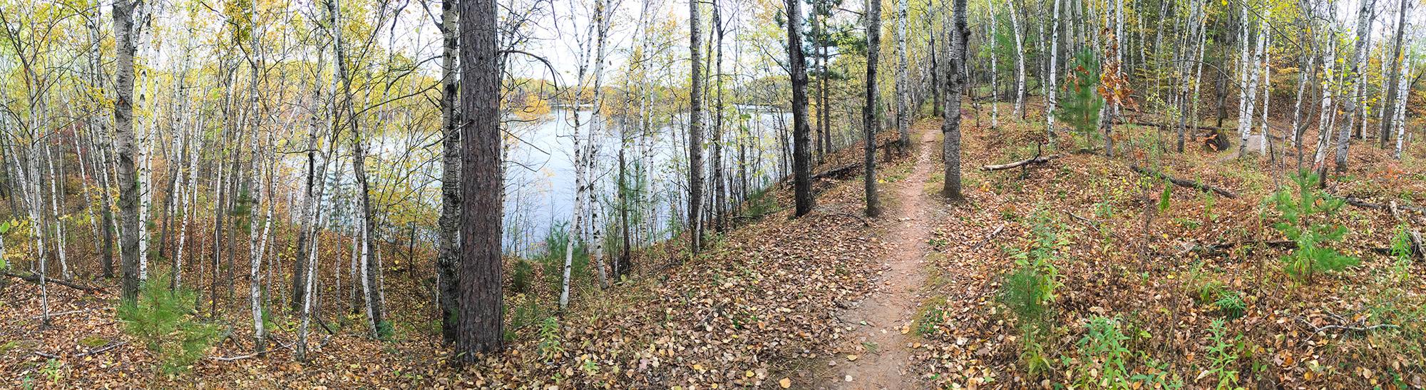A panoramic view of a wooded area during autumn, featuring tall birch and pine trees with yellow and orange leaves. A winding dirt path leads through the forest, with fallen leaves covering the ground. In the background, a calm body of water reflects the surrounding trees, creating a serene natural landscape. Cuyuna Lakes mountain bike trail.