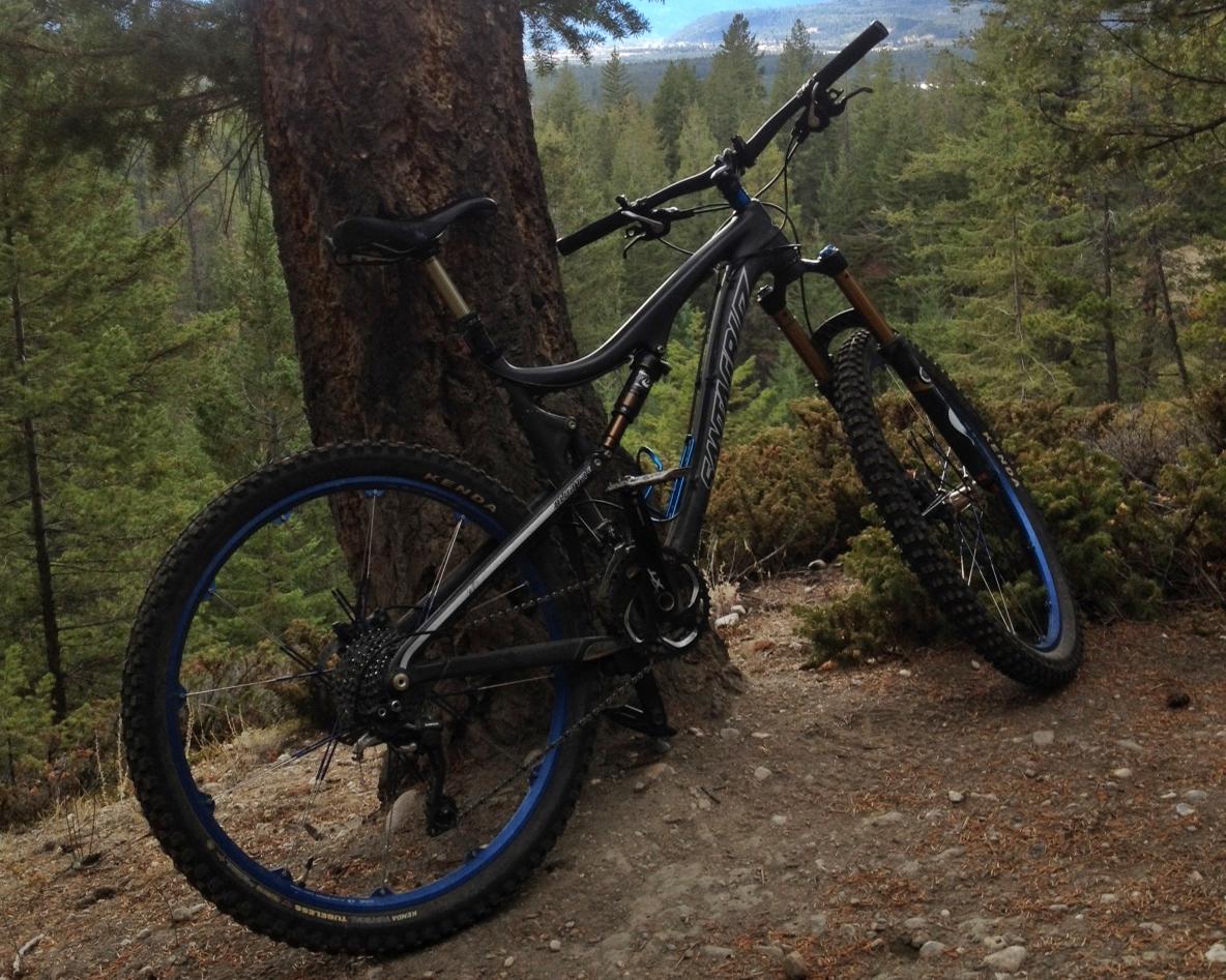 Santa Cruz Blur: A mountain bike leaning against a tree in a forested area, surrounded by greenery and gravel terrain, with a scenic view of mountains in the background.