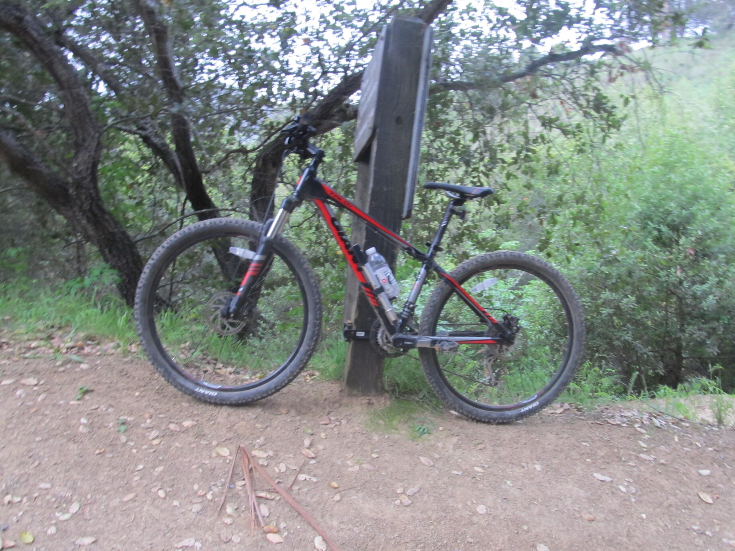 Giant Talon 27.5: A mountain bike leaning against a wooden post on a dirt trail surrounded by greenery and trees.