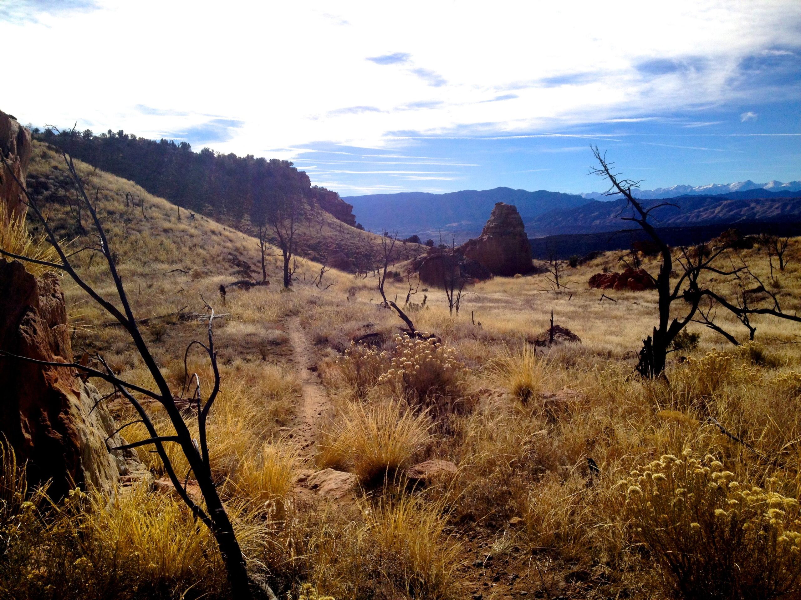 A scenic view of a dry, grassy landscape with rolling hills, rocky formations, and sparse trees. The sky is bright with scattered clouds, and distant mountains can be seen in the background. A trail winds through the grass, leading into the horizon. Oil Well Flats mountain bike trail.