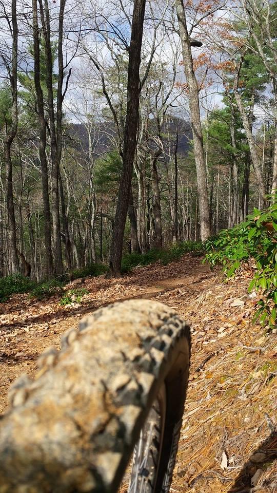 A close-up view of a mountain bike tire on a dirt trail, surrounded by a forest of tall trees with sparse foliage. The ground is covered in fallen leaves, and the trail winds through the landscape, leading into the distance. The sky is partly cloudy, suggesting a nice day for biking. Jake Mountain Trails mountain bike trail.