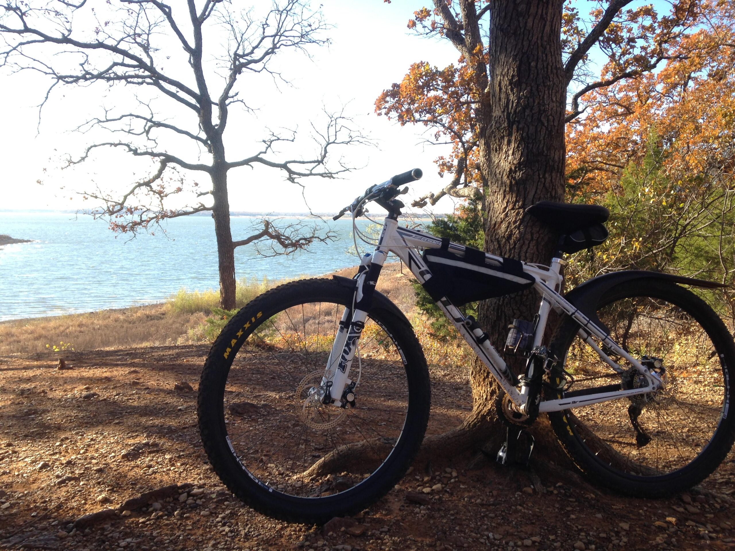 A mountain bike resting against a tree in a natural setting, with a lake visible in the background and autumn foliage nearby. Northshore Trail mountain bike trail.