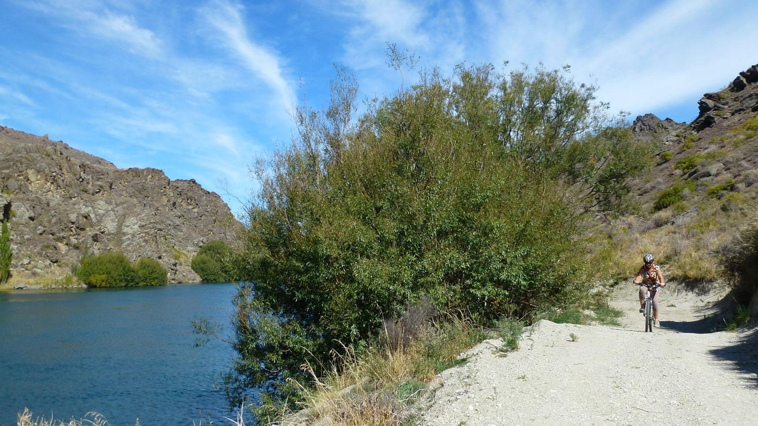 A cyclist riding along a gravel path beside a calm river, surrounded by rocky terrain and patches of greenery under a blue sky with wispy clouds. Roxburgh Gorge Trail mountain bike trail.