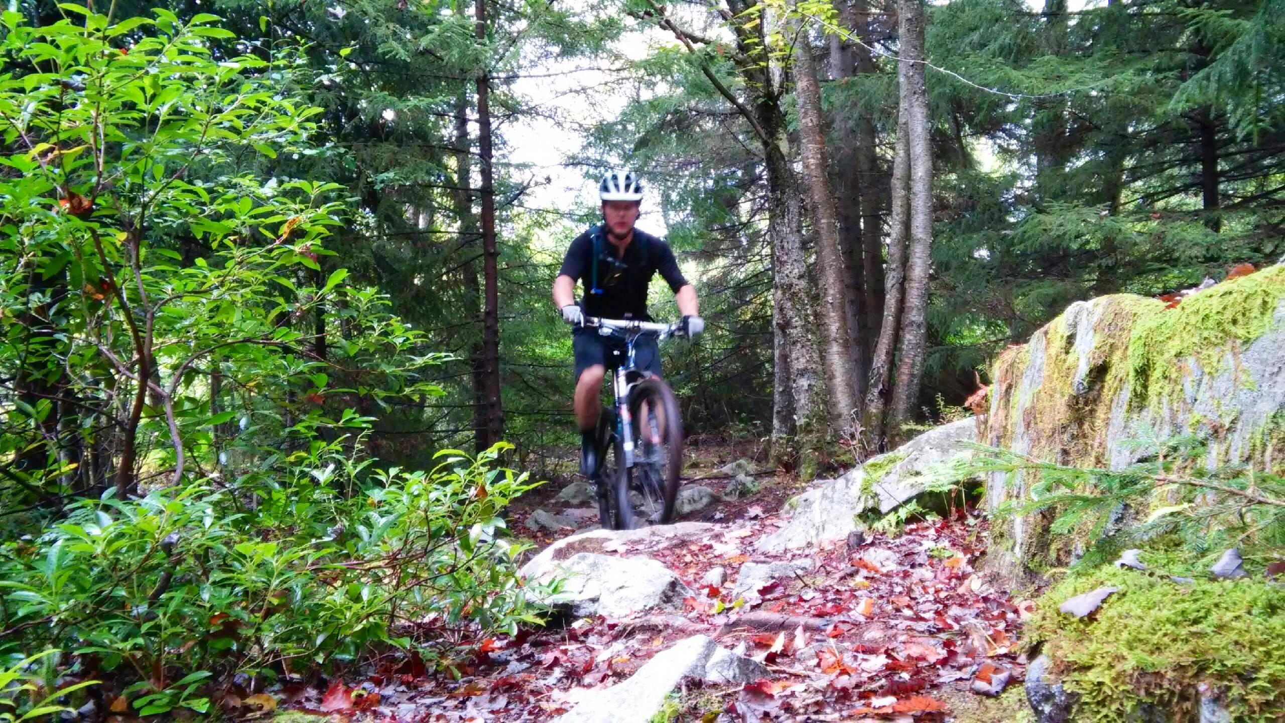 A mountain biker maneuvering through a forested trail, surrounded by lush greenery and scattered leaves. The rider is wearing a helmet and gloves, navigating over rocky terrain under the shade of tall trees. CVI Trails mountain bike trail.
