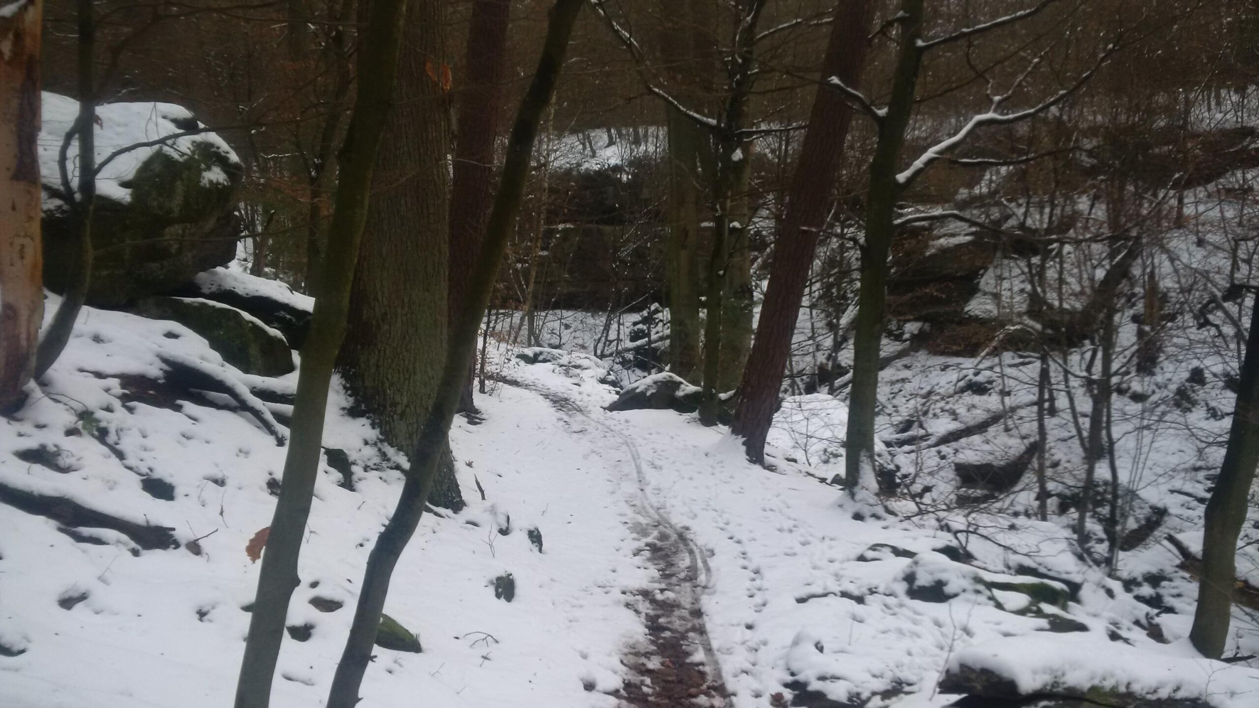 A snowy forest path winding through trees and rocks, with a light layer of snow covering the ground and branches. The scene captures a serene winter landscape with hints of rocky terrain visible along the path. Tower Trail mountain bike trail.