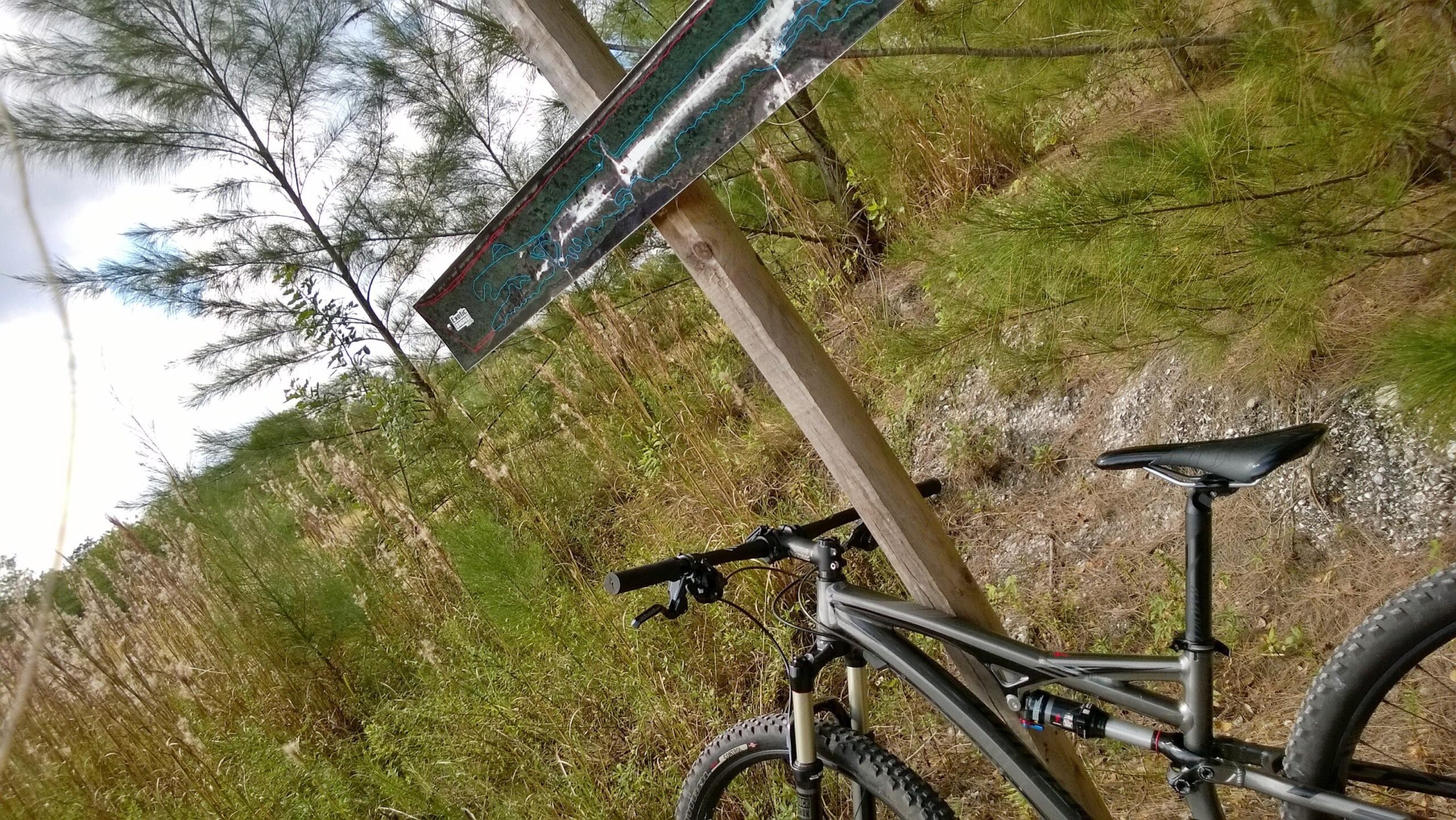 Specialized Camber: A mountain bike leaning against a wooden post with a trail map attached. Surrounding the bike is dense greenery and tall grass, with tall trees visible in the background under a partly cloudy sky.