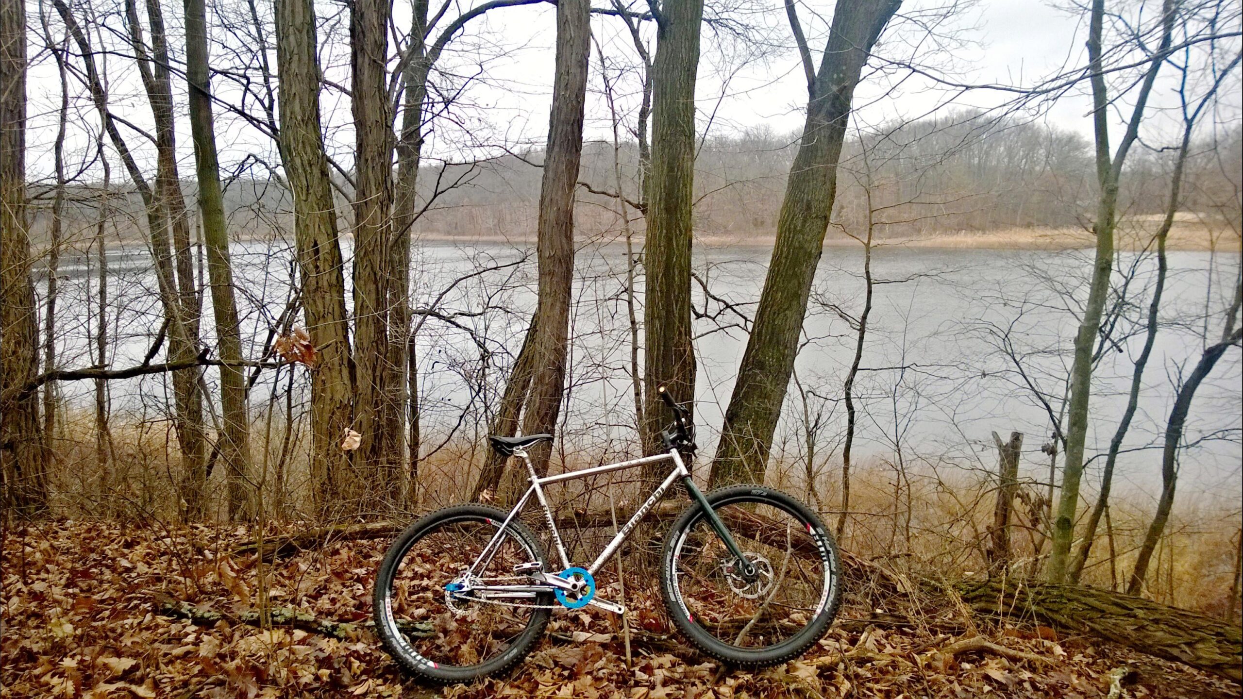 Bianchi S.A.S.S.: A mountain bike leaning against a tree, surrounded by bare trees and fallen leaves, with a calm river in the background on a cloudy day.