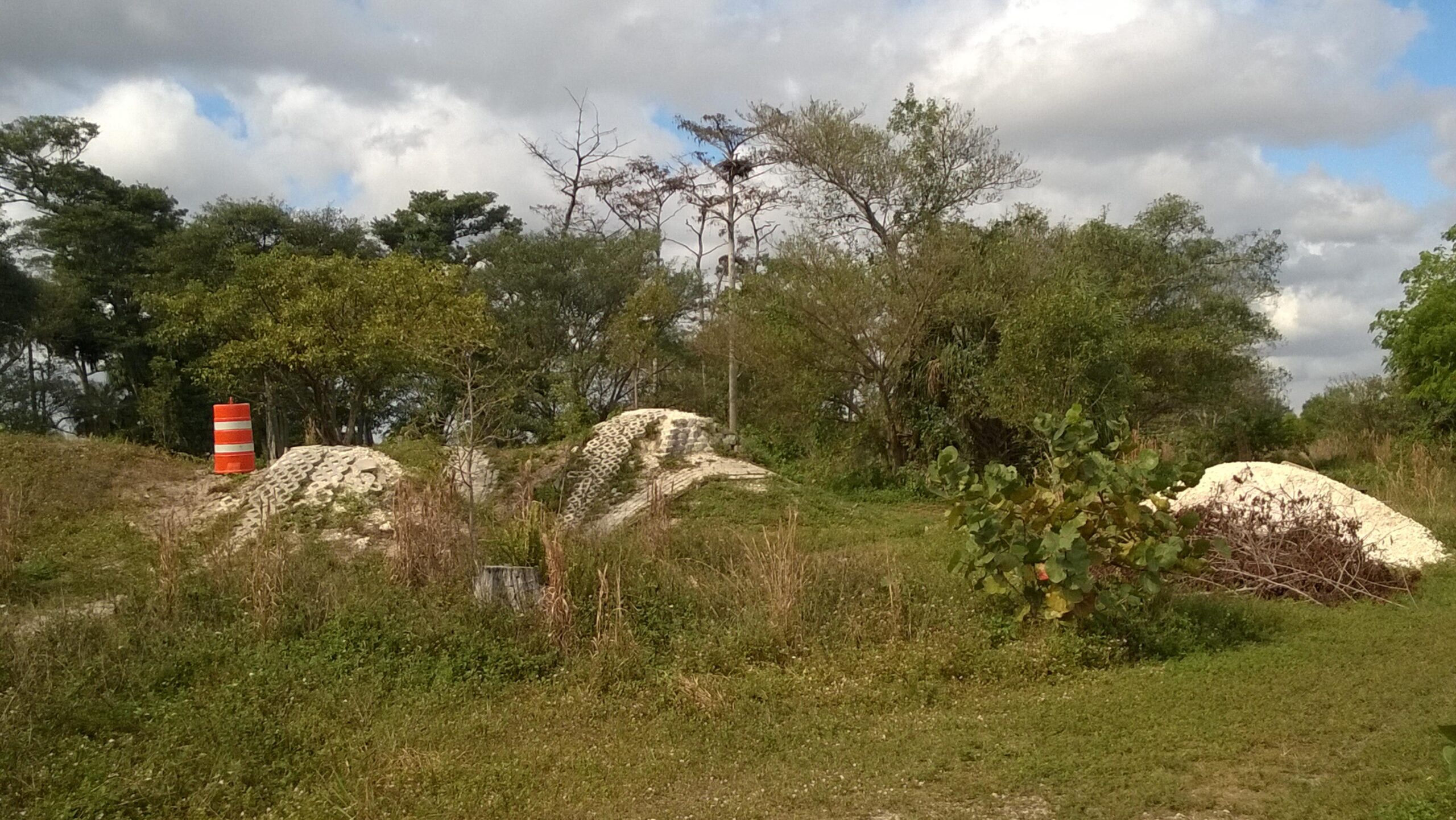 Alt text: A rural landscape featuring green grass and trees, with a large orange construction barrel positioned on a mound. In the background, there are overgrown plants and scattered debris, under a partly cloudy sky. Quiet Waters Park mountain bike trail.