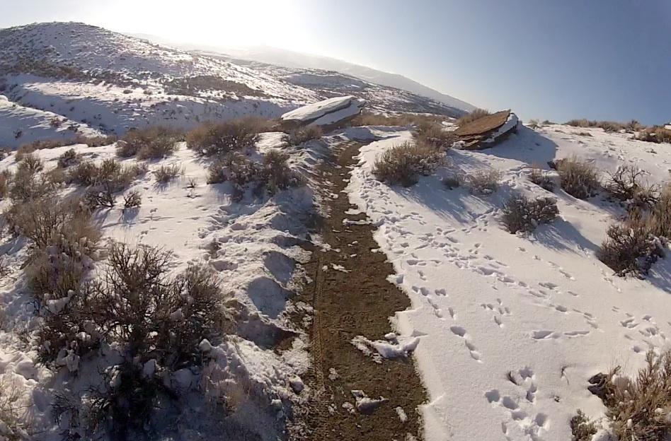 A snow-covered landscape featuring a dirt path winding through rolling hills. The terrain is dotted with low shrubs, and animal tracks are visible in the snow. The scene is illuminated by sunlight, creating a bright and peaceful atmosphere. Tnt mountain bike trail.