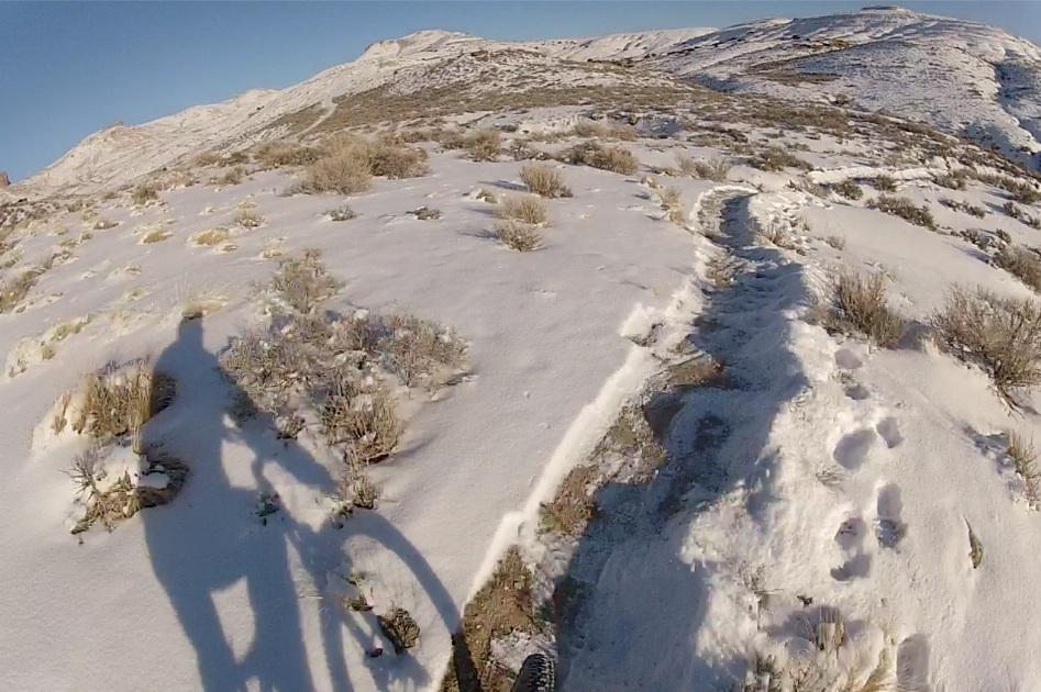 A snowy mountain bike trail leading through a snowy landscape with sparse vegetation, showing the shadow of a cyclist and tire tracks on the path. Tnt mountain bike trail.