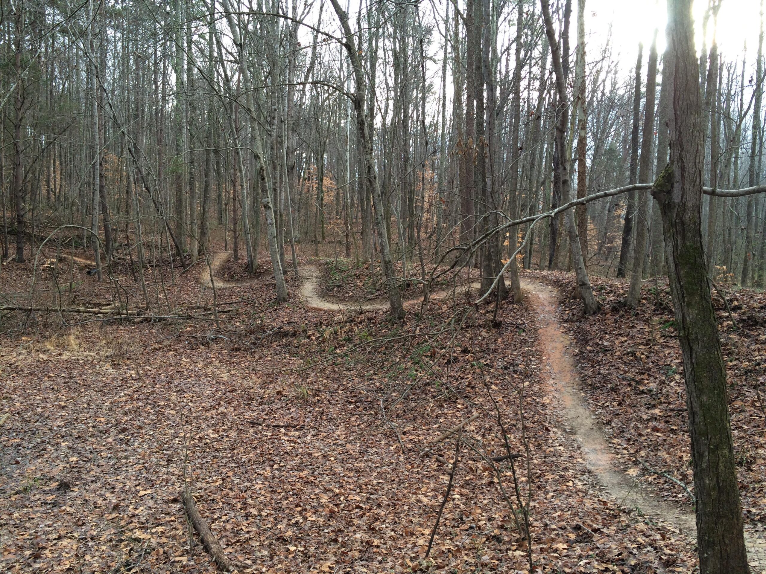 A winding dirt path through a forest, surrounded by tall, bare trees and scattered fallen leaves on the ground. The path curves to the right and left, creating a sense of depth in the natural setting. Soft, diffused light filters through the tree branches, suggesting an overcast day. Kernersville MTB park mountain bike trail.