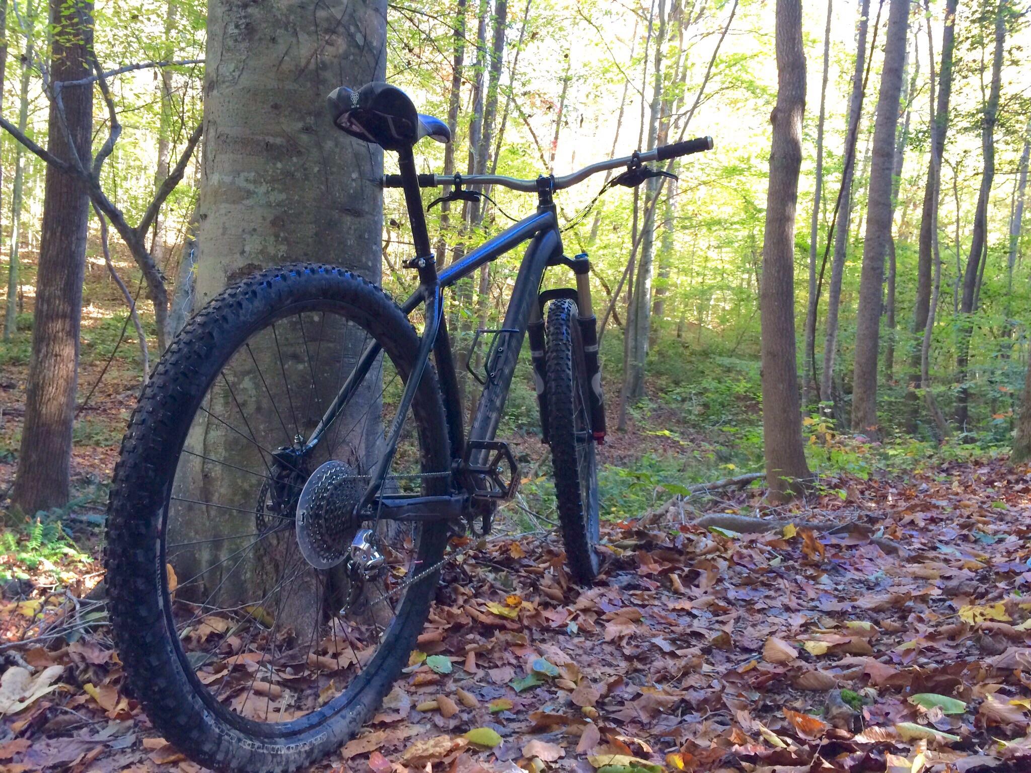 Specialized STUMPJUMPER EVO HT: A mountain bike leaning against a tree in a forest, surrounded by fallen leaves and greenery. The scene captures the tranquility of nature, with sunlight filtering through the trees in the background.