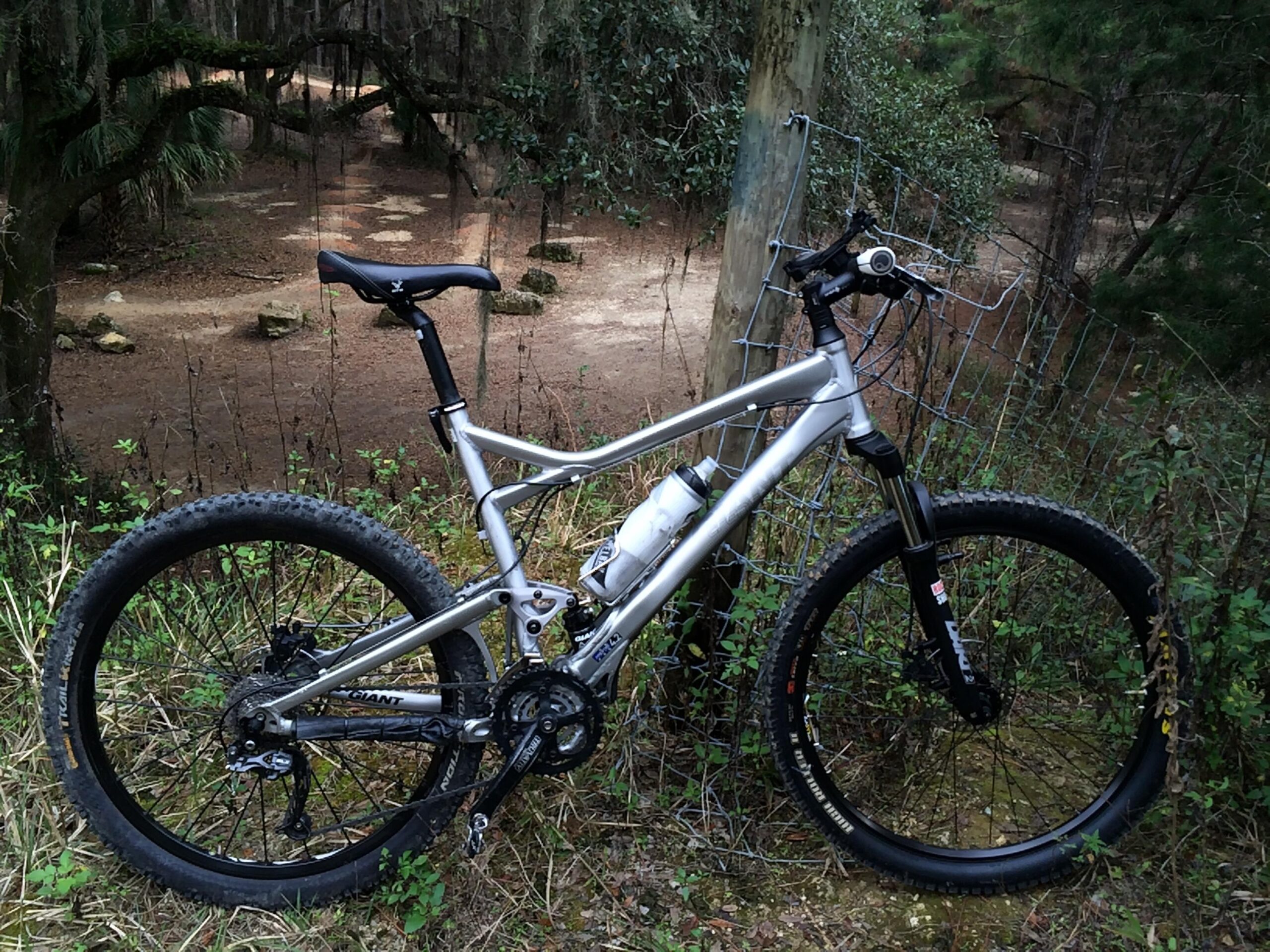 A silver mountain bike is positioned against a wire fence, surrounded by greenery and tree branches. The background features a dirt path with scattered rocks, suggesting a wooded area. The bike is equipped with thick tires and a water bottle mounted on the frame, ready for off-road adventures. Pine Tree Loop mountain bike trail.