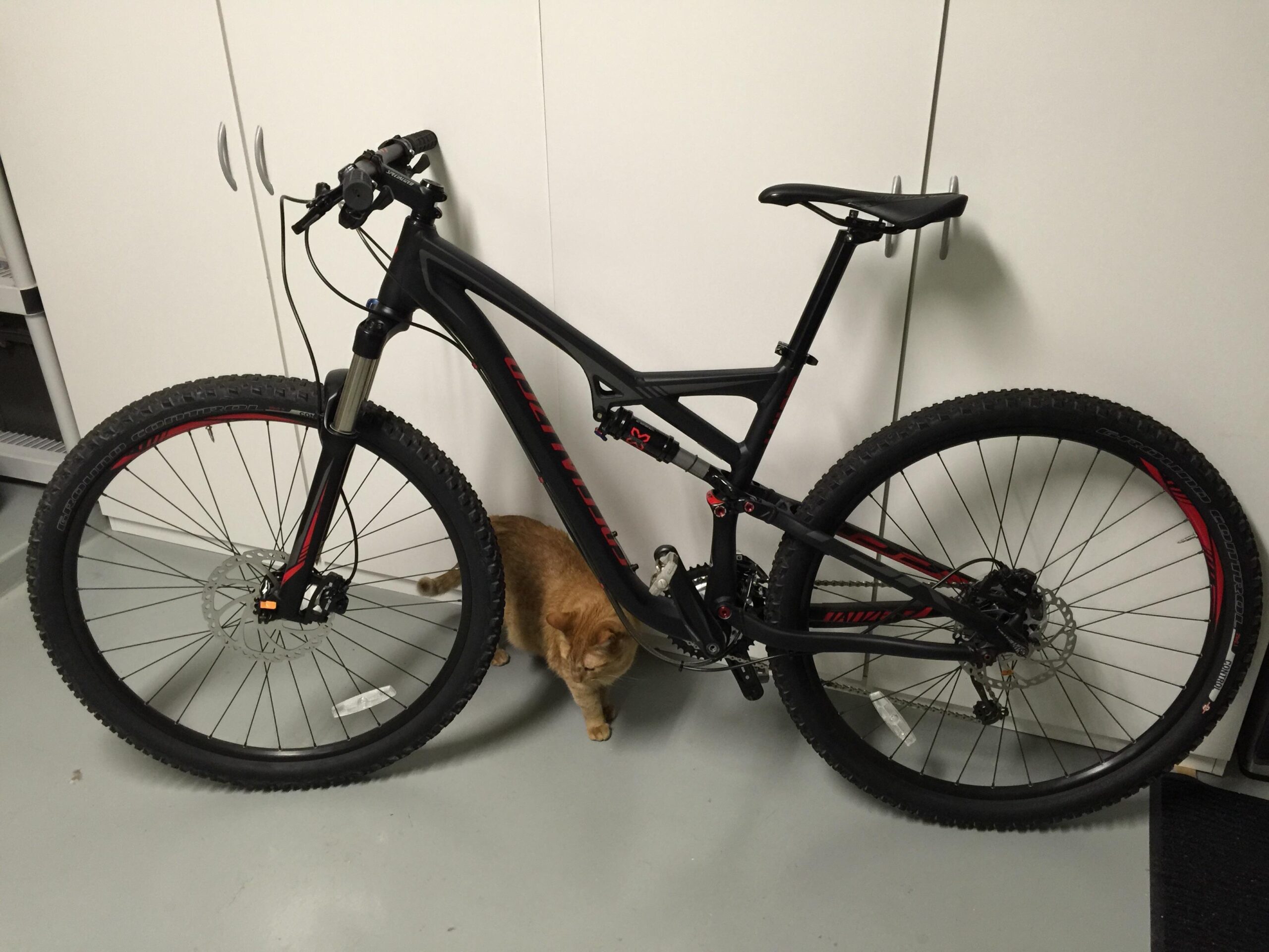 Specialized Camber 29: A black and red mountain bike with thick tires is leaning against a white cabinet, accompanied by an orange tabby cat exploring the area nearby. The floor is gray, and the setting appears to be a garage or storage space.