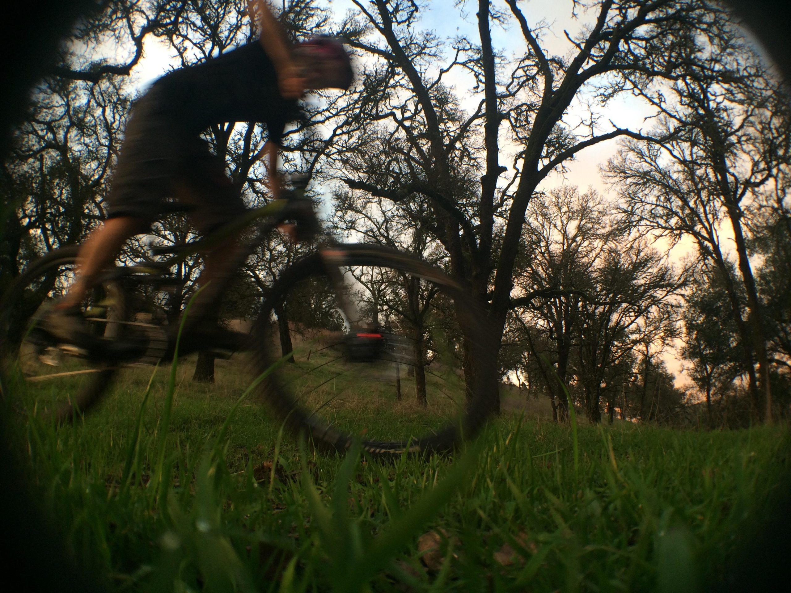 A blurred image of a person riding a mountain bike through a grassy area with trees in the background, depicting motion and speed during an outdoor biking activity. Cronan Ranch mountain bike trail.