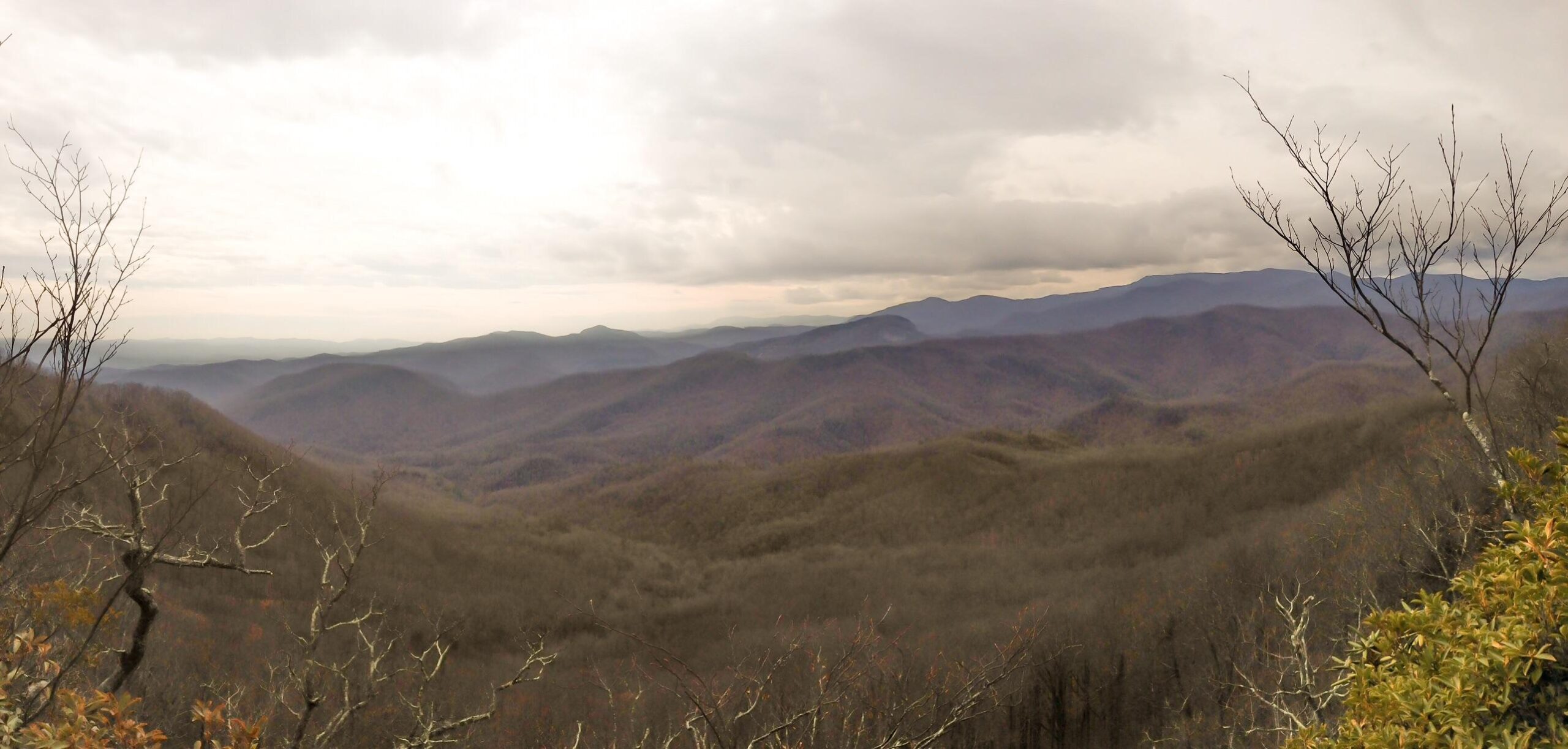 A panoramic view of rolling mountains under a cloudy sky, showcasing layers of trees in shades of brown and green. Bare branches are visible in the foreground, adding to the natural landscape. The scene conveys a peaceful yet dramatic atmosphere characteristic of mountainous terrain. Black Mountain mountain bike trail.
