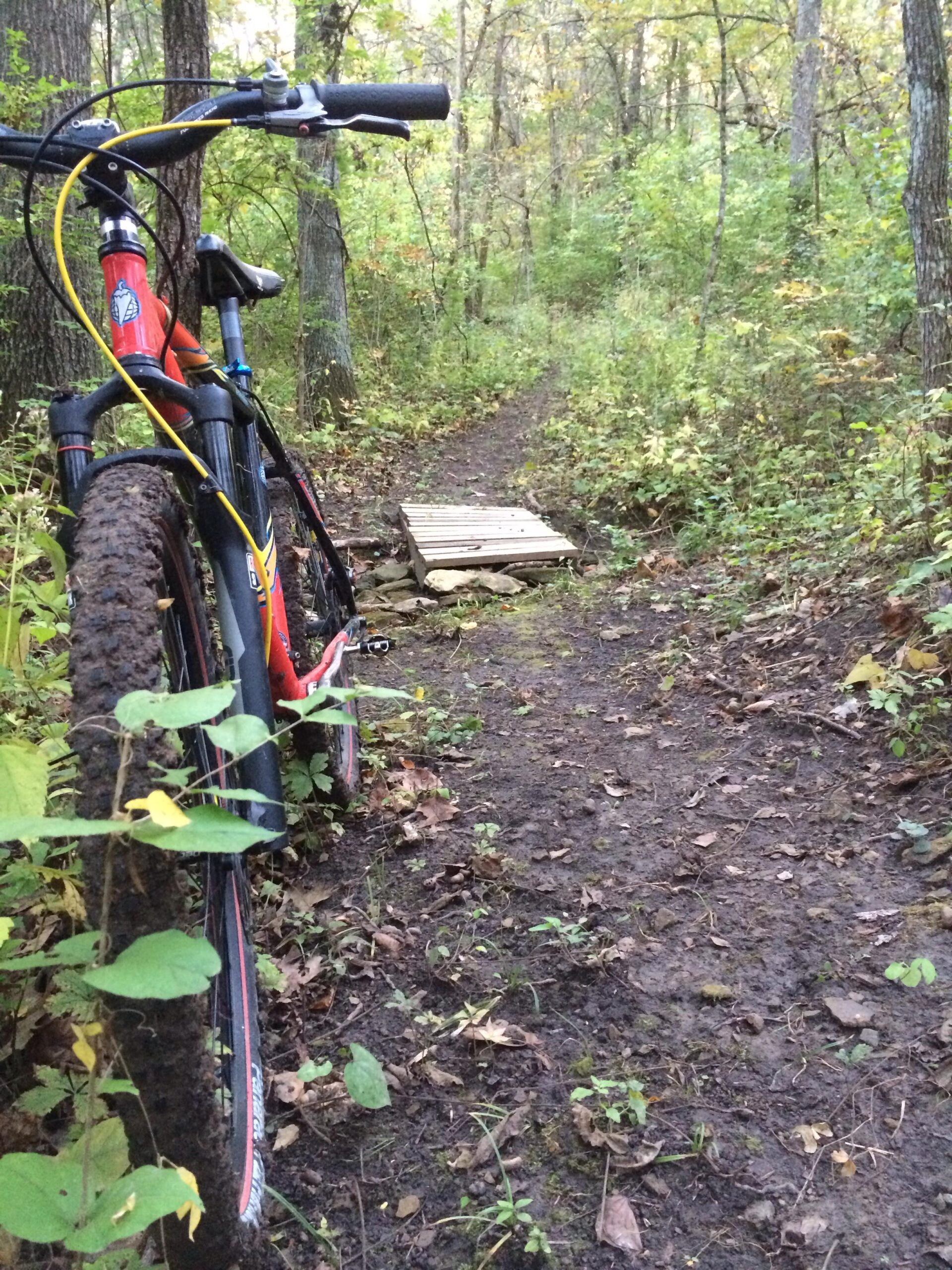 A mountain bike leaning against a tree on a dirt path in a wooded area. The trail is surrounded by greenery and fallen leaves, with a small wooden bridge visible ahead. The scene reflects an inviting atmosphere for outdoor cycling. Burkside mountain bike trail.