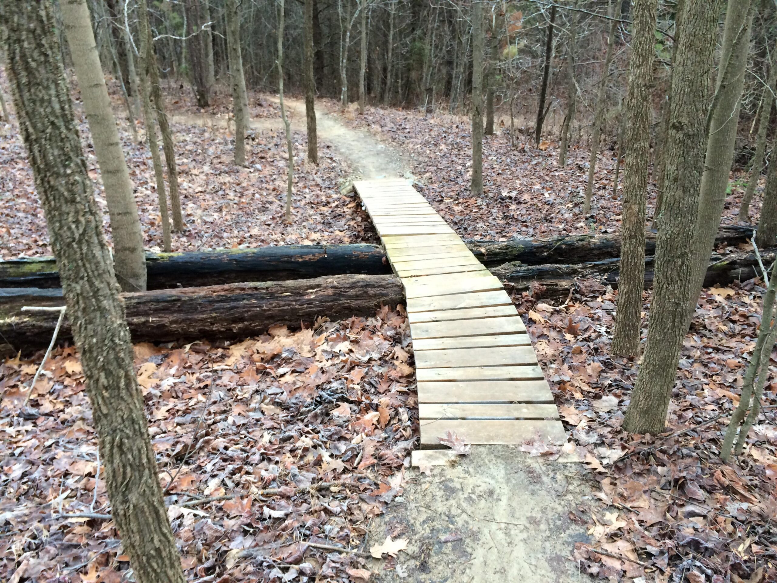 A wooden bridge spans a small gap in a forested area, surrounded by bare trees and fallen leaves on the ground. A narrow dirt path leads into the distance. Kernersville MTB park mountain bike trail.