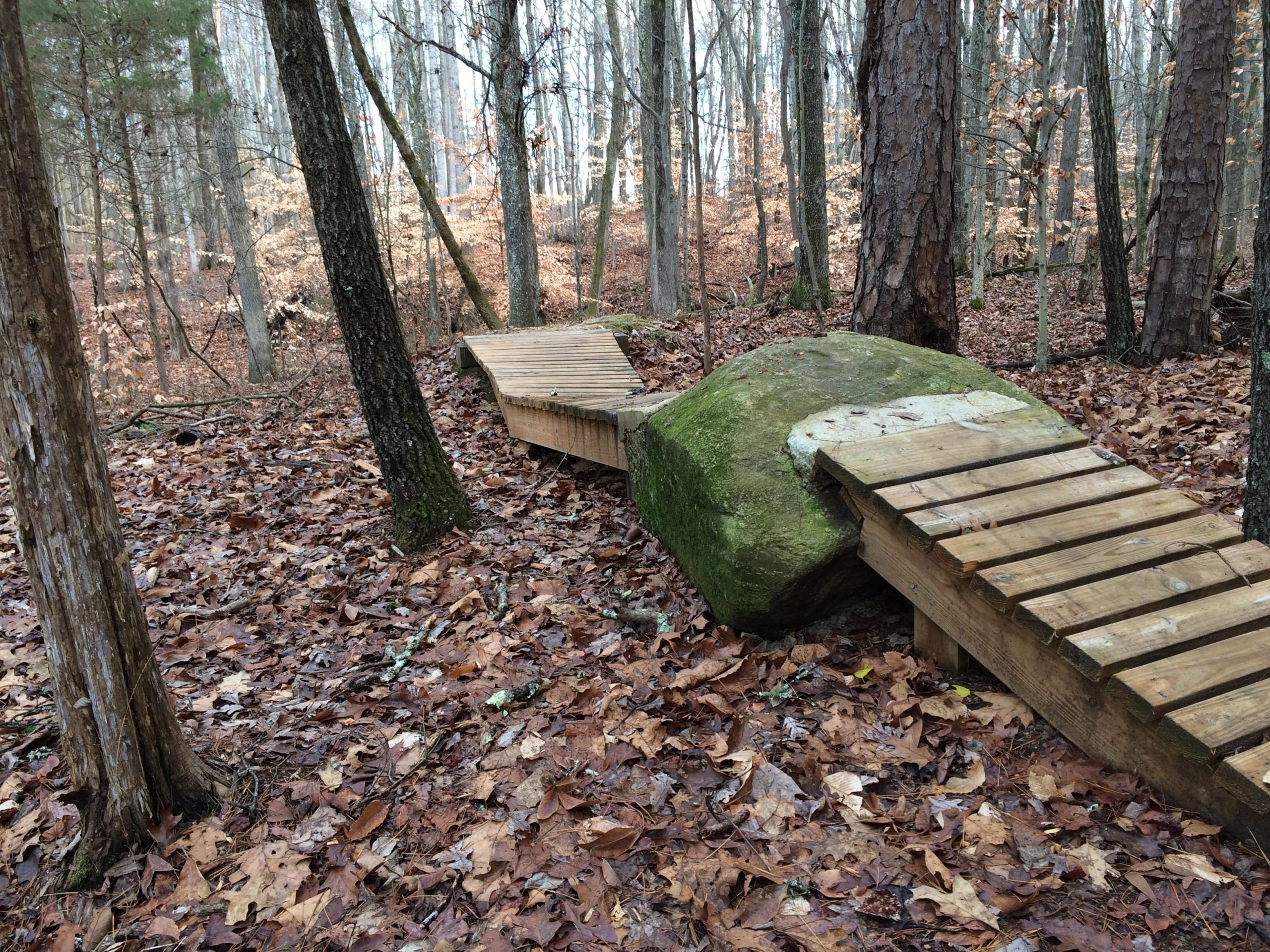 A wooden pathway made of planks winds through a forest, connecting two sections while passing over a large moss-covered rock. The ground is covered with brown leaves, and tall trees line the sides of the path, creating a serene natural setting. Kernersville MTB park mountain bike trail.