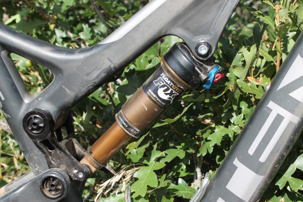 Close-up view of a mountain bike's rear shock, specifically a Fox Racing Shox, mounted on the bike frame surrounded by greenery.