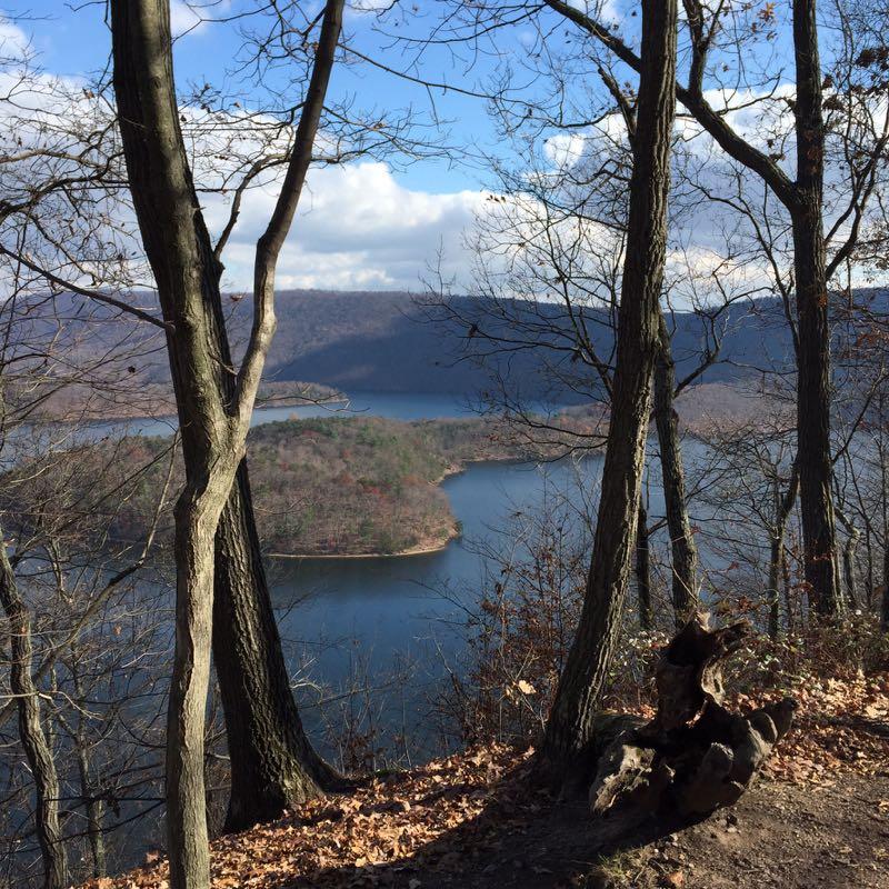 A scenic view of a lake surrounded by forested hills, seen from a vantage point among bare trees. The sky is partly cloudy, and the landscape features muted autumn colors with patches of green and brown. A fallen tree trunk is in the foreground on a dirt path. Allegrippis Trails mountain bike trail.