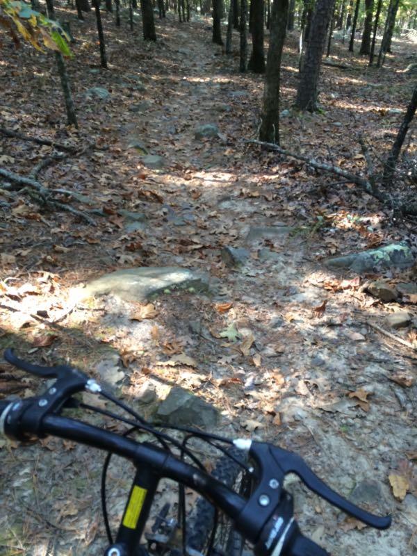 A mountain bike handlebar is visible in the foreground, with a dirt trail lined by trees and scattered leaves leading through a wooded area. The trail is rocky and partially shaded by the surrounding foliage. Jackfork Trail mountain bike trail.