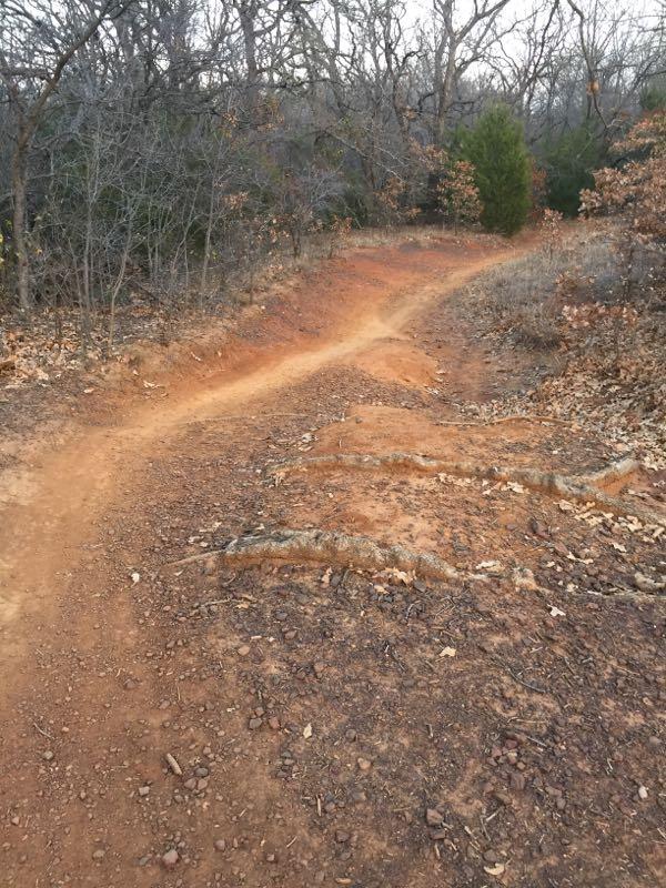 A winding dirt trail in a wooded area, surrounded by sparse trees and scattered leaves. The path shows signs of wear, with uneven surfaces and patches of reddish-brown soil. The scene is quiet and natural, showcasing a rugged outdoor environment. Northshore Trail mountain bike trail.