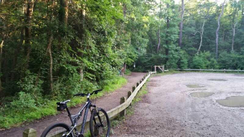 A mountain bike resting on a wooden fence at the edge of a dirt parking area surrounded by dense trees and greenery. A winding trail leads into the forest, with a few muddy puddles visible on the ground. The scene is tranquil and natural, suggesting an outdoor recreational area. First Landing State Park mountain bike trail.